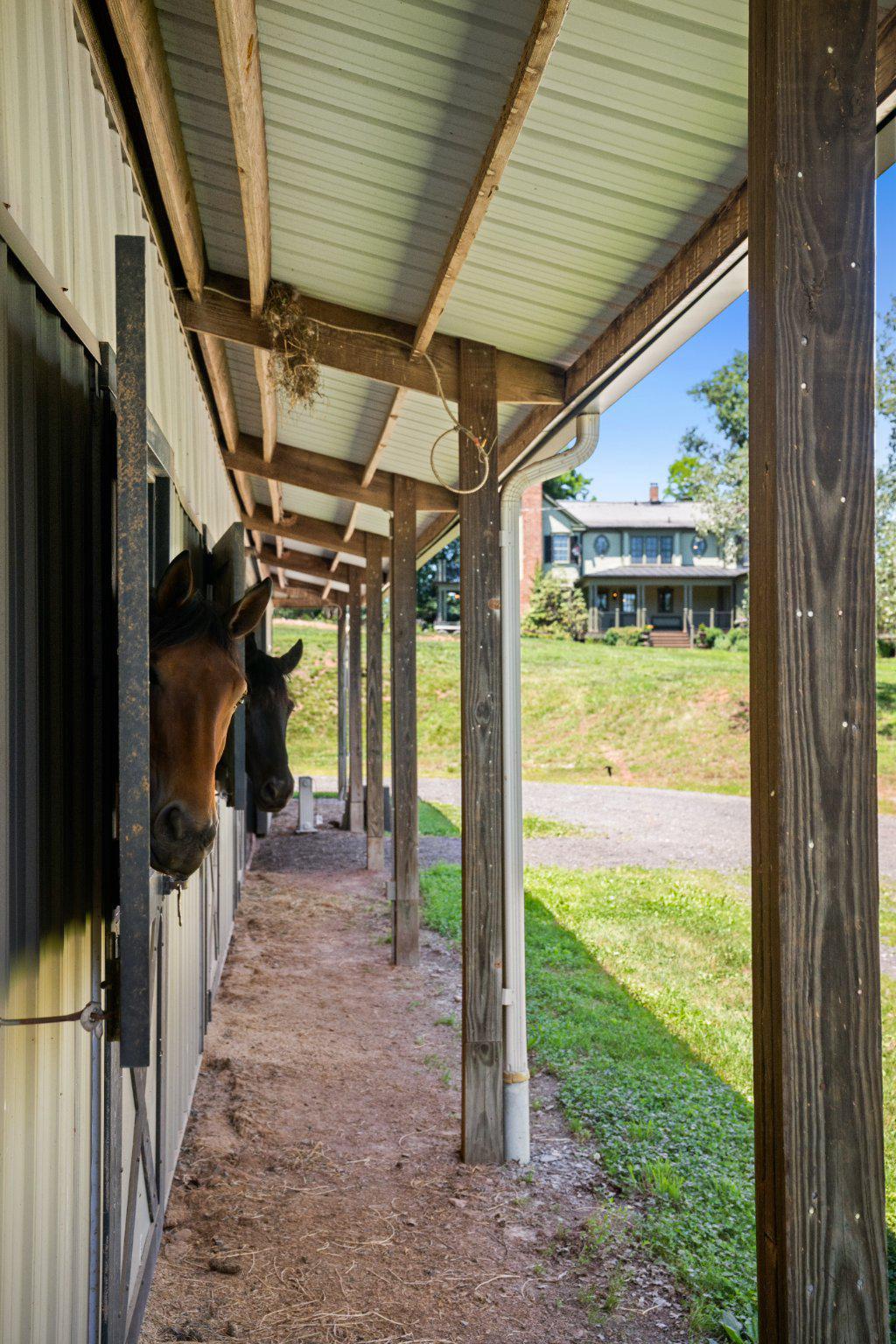 POOLESVILLE OUTSIDE - Farm