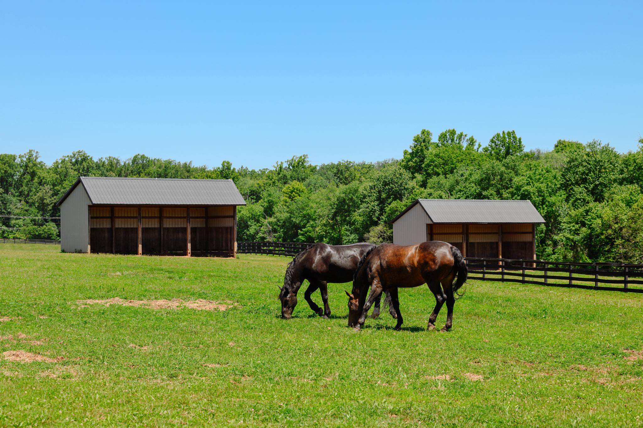 POOLESVILLE OUTSIDE - Farm