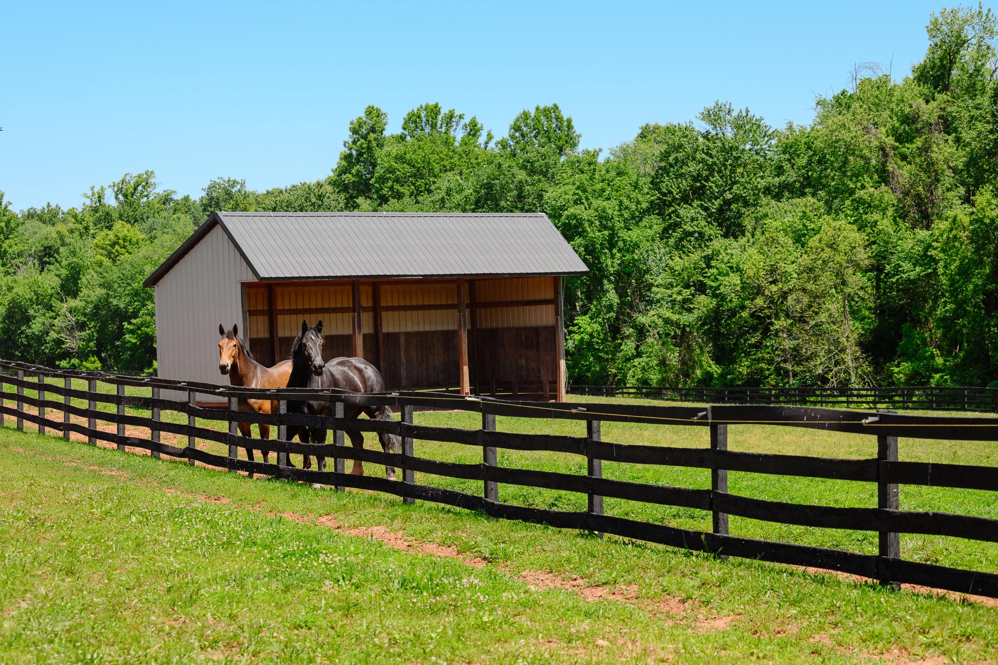 POOLESVILLE OUTSIDE - Farm