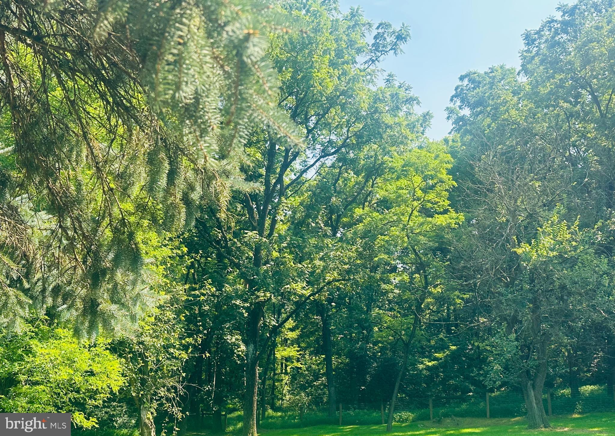 Over 10 acre wooded  lot in Londonderry Twp Lower Dauphin School District.  Recent Perc and Probe on file.  Deeded Right of Way entrance from Foxianna crossing over the neighboring property.  Abundant wildlife and Very private setting yet close to Rt 283, Turnpike, HIA and Hershey Park is less than 15 minutes away!