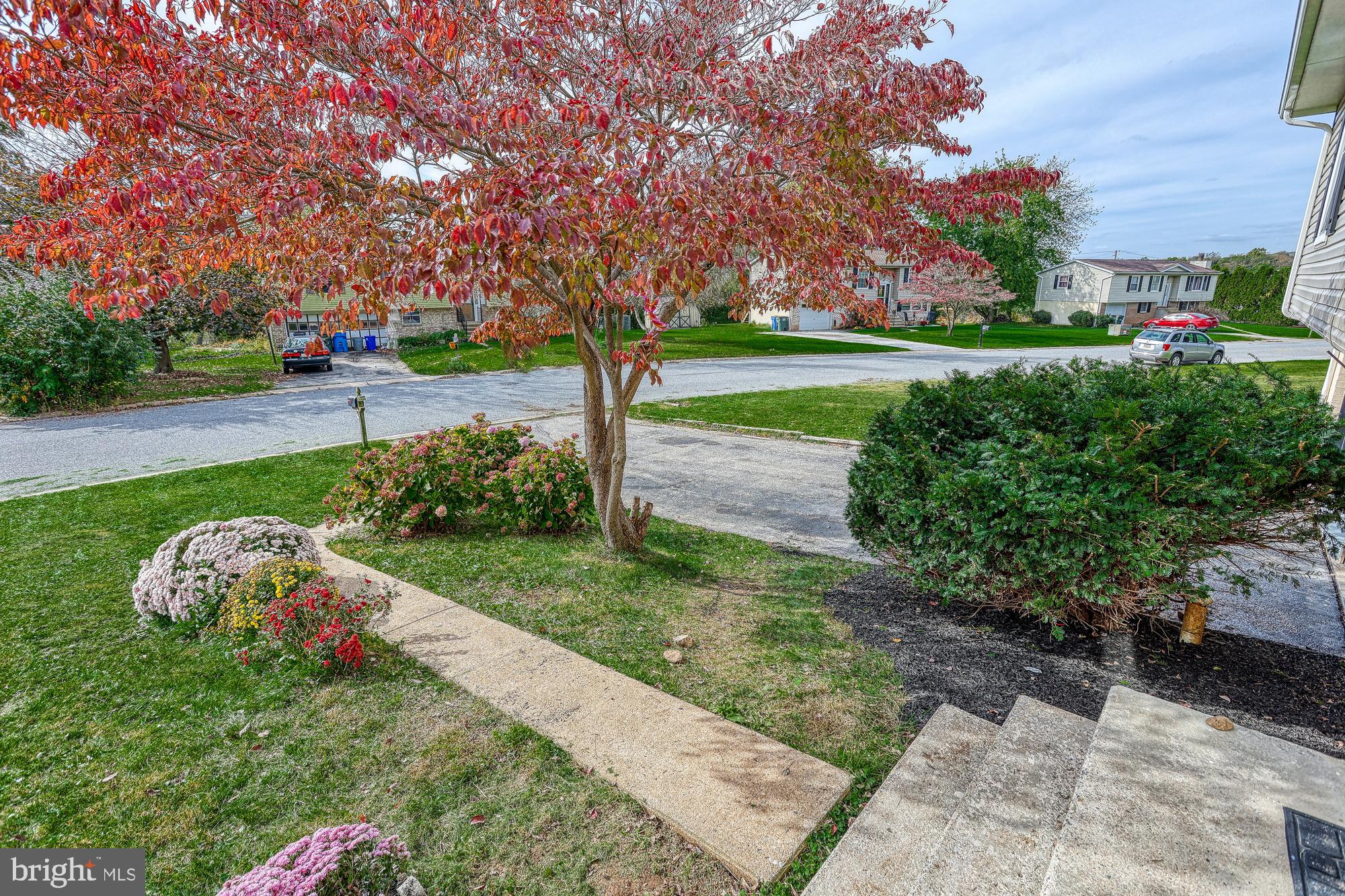 DENTON TERRACE - Residential
