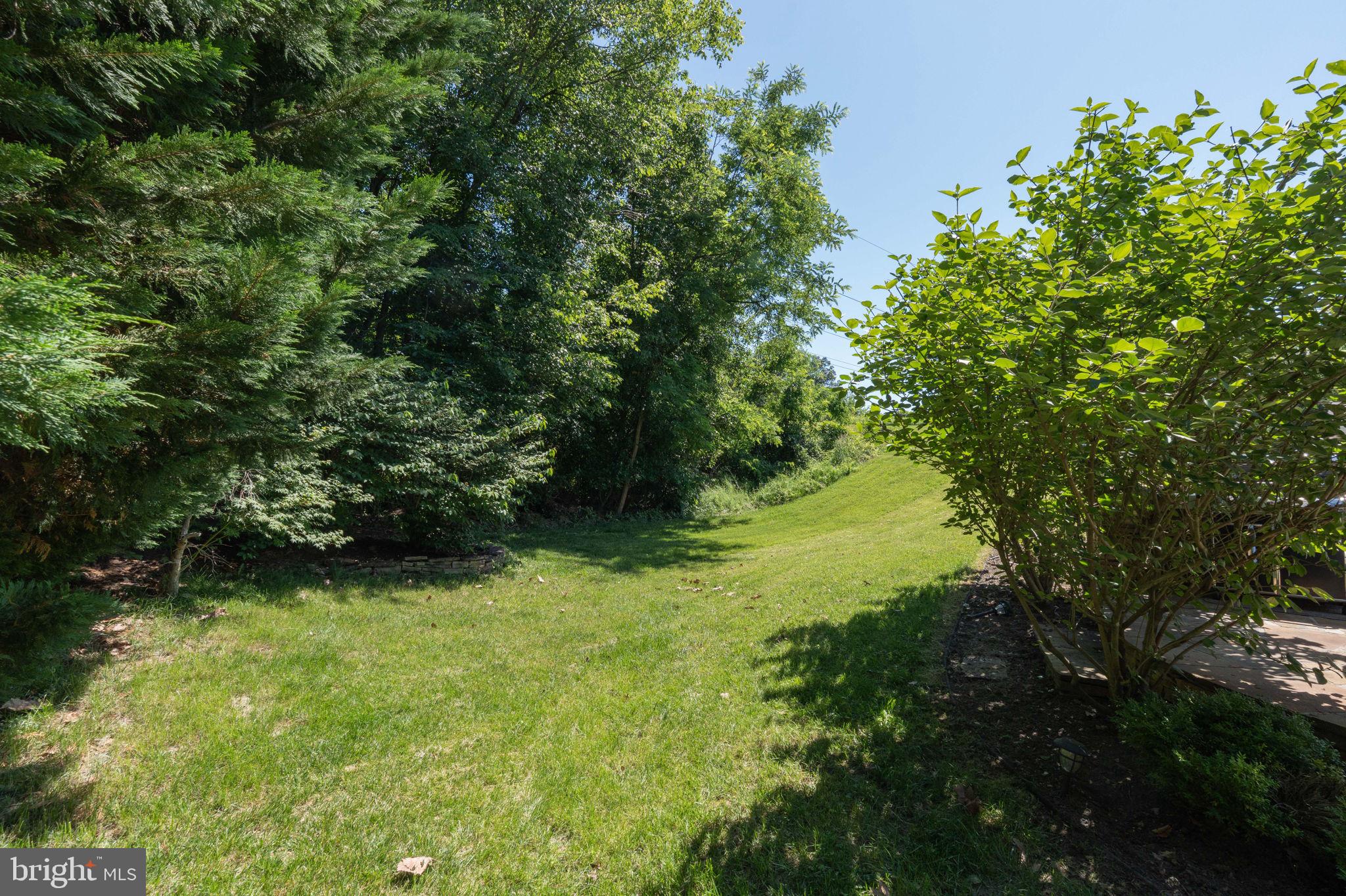 WILLIAMS KNOLL - Residential