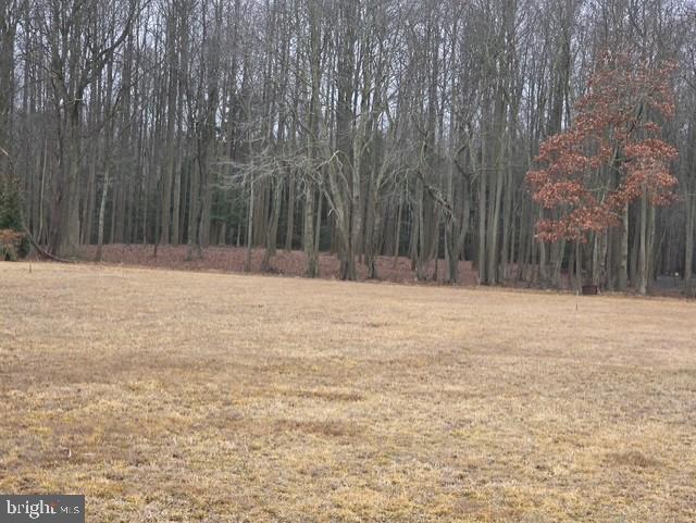 OWNER FINANCING AVAIABLE!!  
 Build Your Dream Estate on 4+ Acres in Picturesque Bishopville! Discover the perfect blend of country privacy and coastal convenience with this stunning 4.07-acre parcel in desirable Bishopville, Maryland. Featuring a mix of open, cleared land and serene, wooded areas in the back, this property is the ideal canvas for your custom dream home. Enjoy the tranquility of Eastern Shore living with plenty of room for a pool, and expansive gardens, all just a short, easy drive to Ocean City beaches and West Ocean City amenities. No builder tie-in—bring your own builder and create the life you've always wanted. Don't miss this rare opportunity to own a piece of Worcester County paradise.
