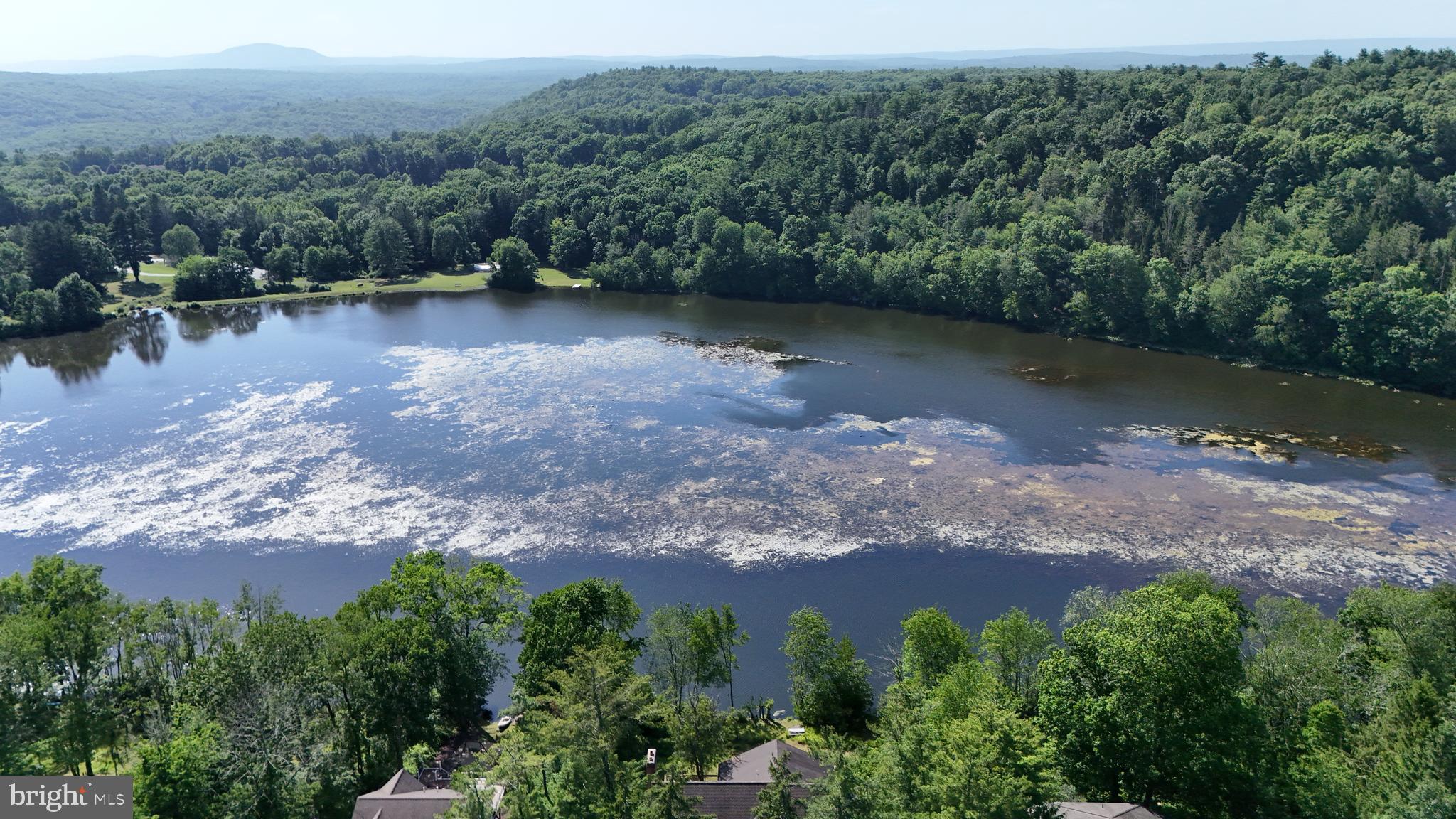 BLUE MOUNTAIN LAKE - Residential