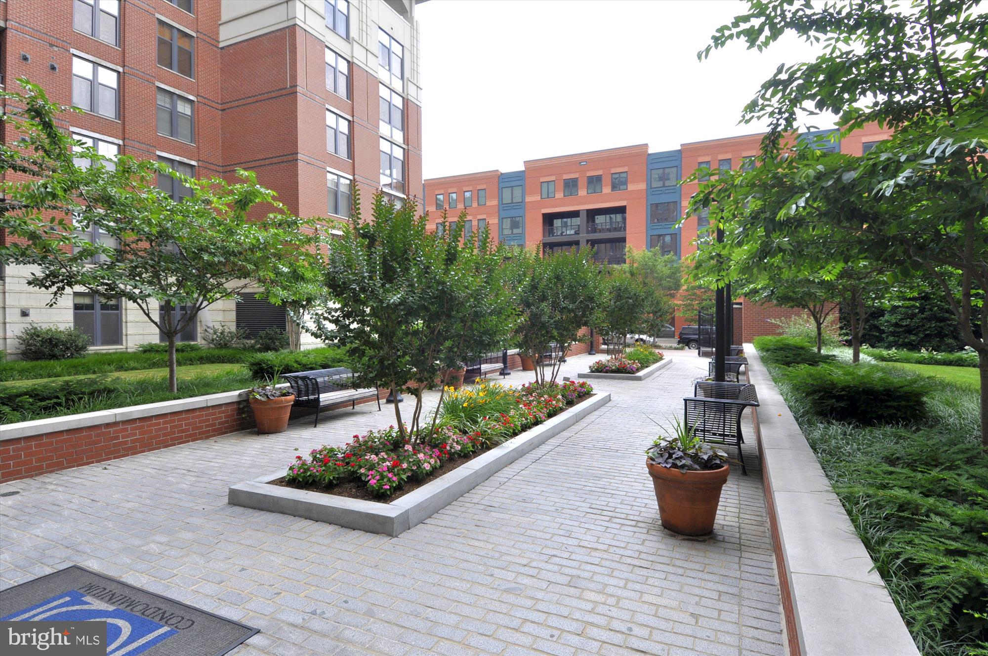 CLARENDON 1021 - Residential Lease