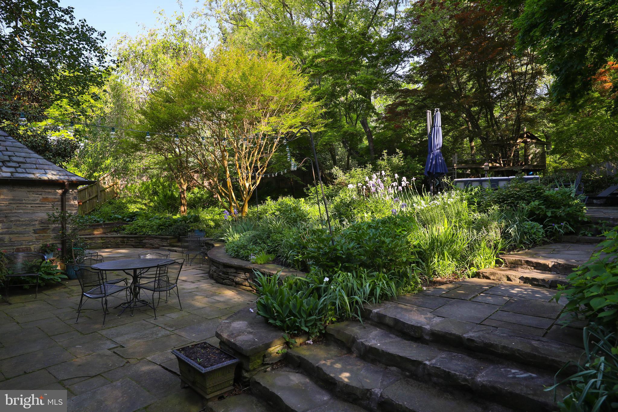 CHESTNUT HILL - Residential