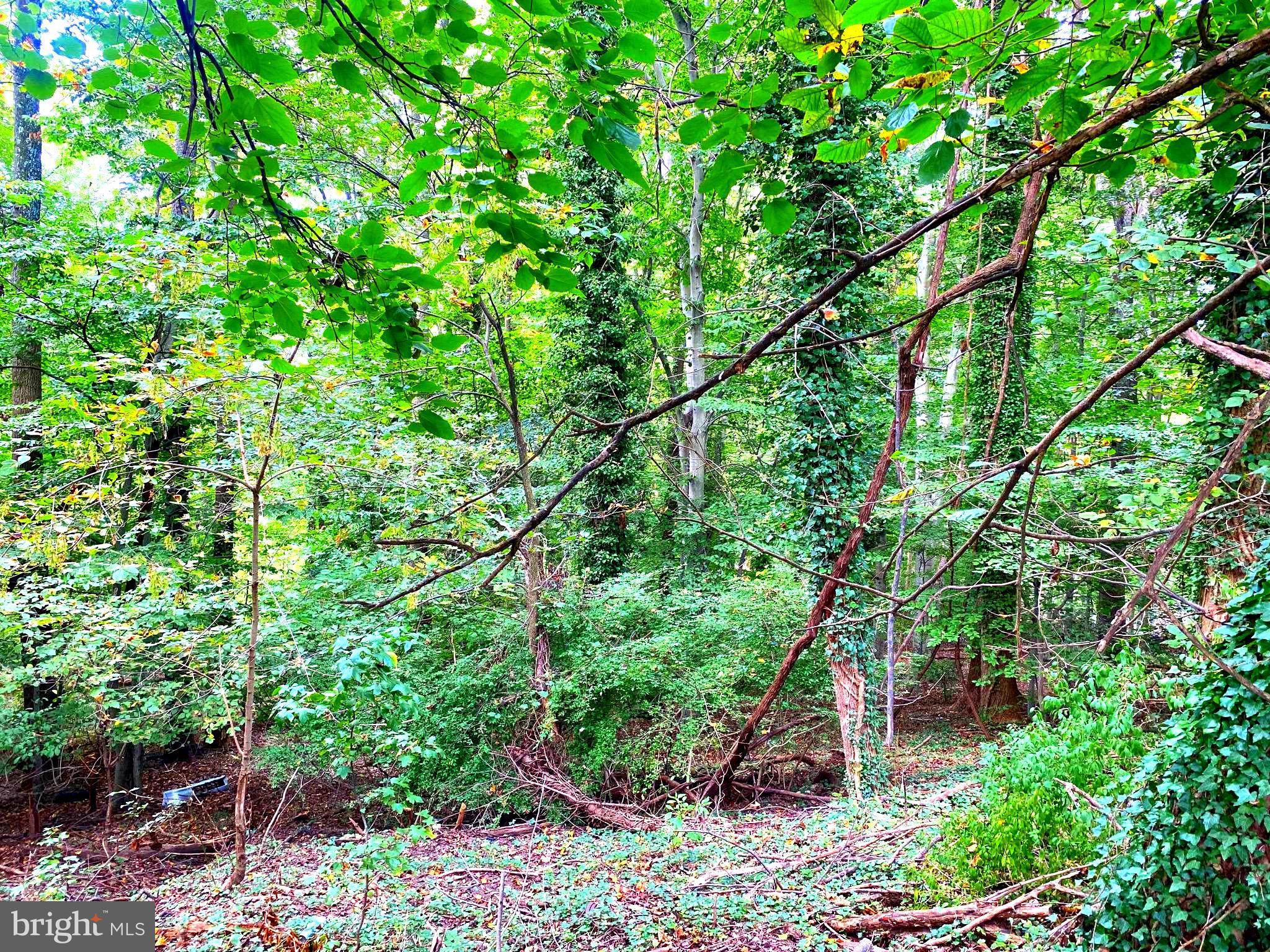 GLENN HILLS - Land