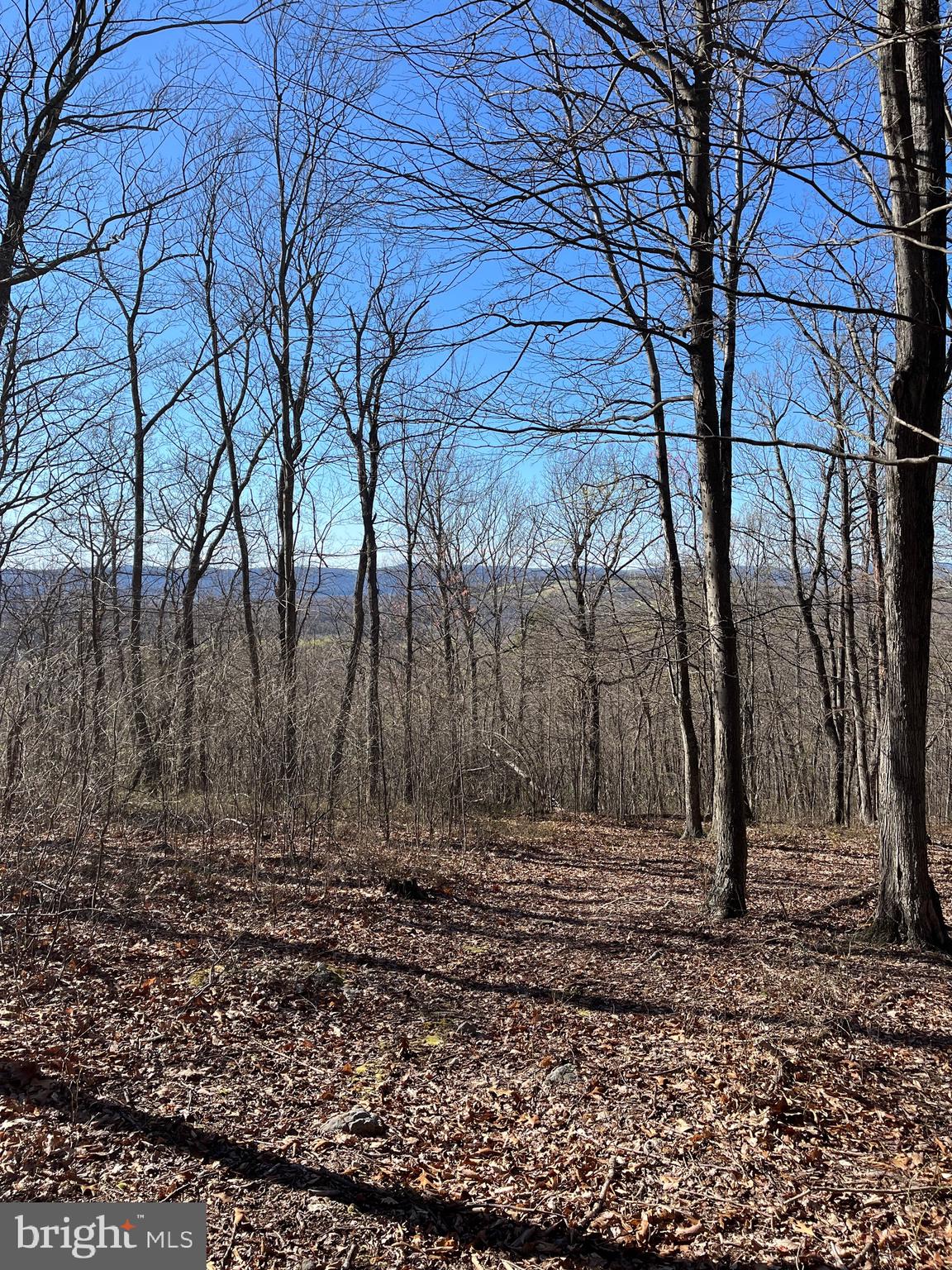 Fabulous, large lots for hunting, recreation or living. This sale includes two lots for a total of 107.62 acres. Together, they provide a wonderful space for hunting, recreation or possible building sites for your own home or cabin. Owner has done extensive clearing of trails--most require 4 wheel drive, some are only accessible via ATV or dirt bike--making the entire 107 acres very accessible by vehicle or foot. A creek runs along the northeast boundary of the lot which also includes a natural spring near the southern end and a seasonable stream on the west side. Several tree stands for hunting are spread throughout the parcels which offer 500 feet of elevation change and excellent hiking opportunities. The lots offer panoramic views in the winter and silence year round, with almost no light pollution from cities or towns.  Wildlife galore also call the parcels home and show up regularly on the trail camera (see photos). Sale includes an almost-new Amish shed, a shipping container  for storage, solar power for lights in the shipping container and trickle charges for ATVs or dirt bikes.  A Husqvarna chainsaw, DeWalt weed whipper, wood stove, gorilla cart and some camp chairs also convey.  Parcel 1 (02 37007500000000) is 20 acres and Parcel 2 (02 37004500000000) is 87.62 acres. Total acres and assessments on the listing are combined values for the two lots.