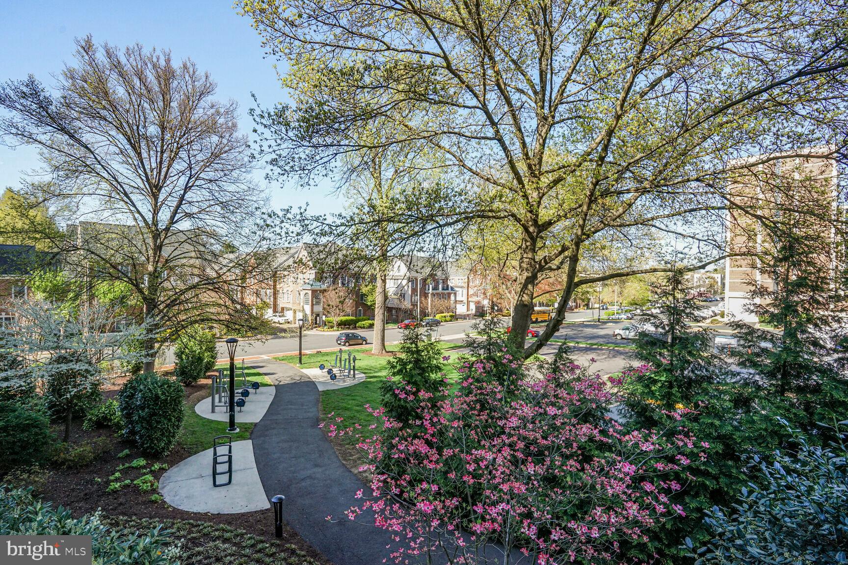 THE SIGNET - Residential