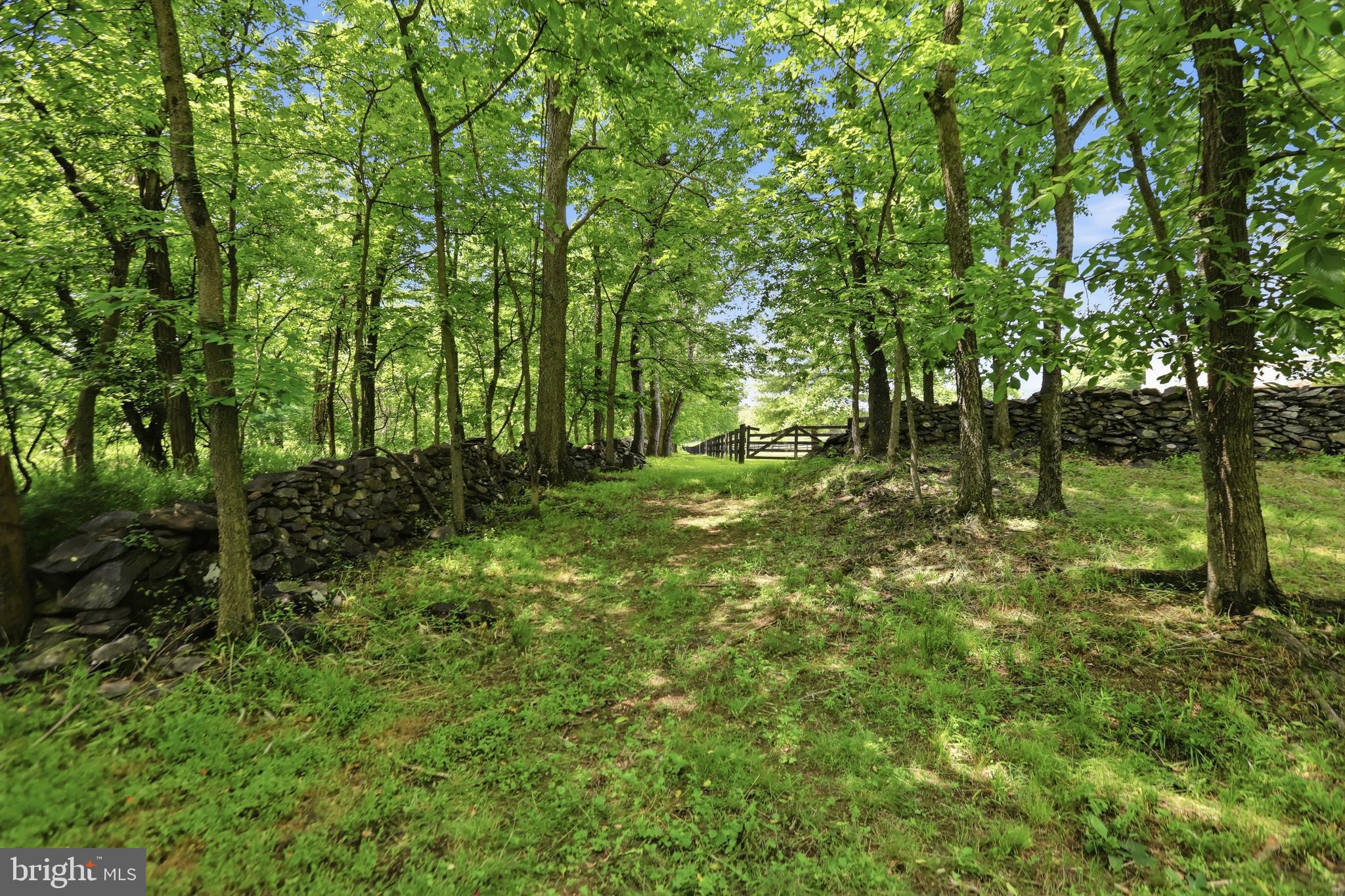 BERKELEY CHASE - Residential