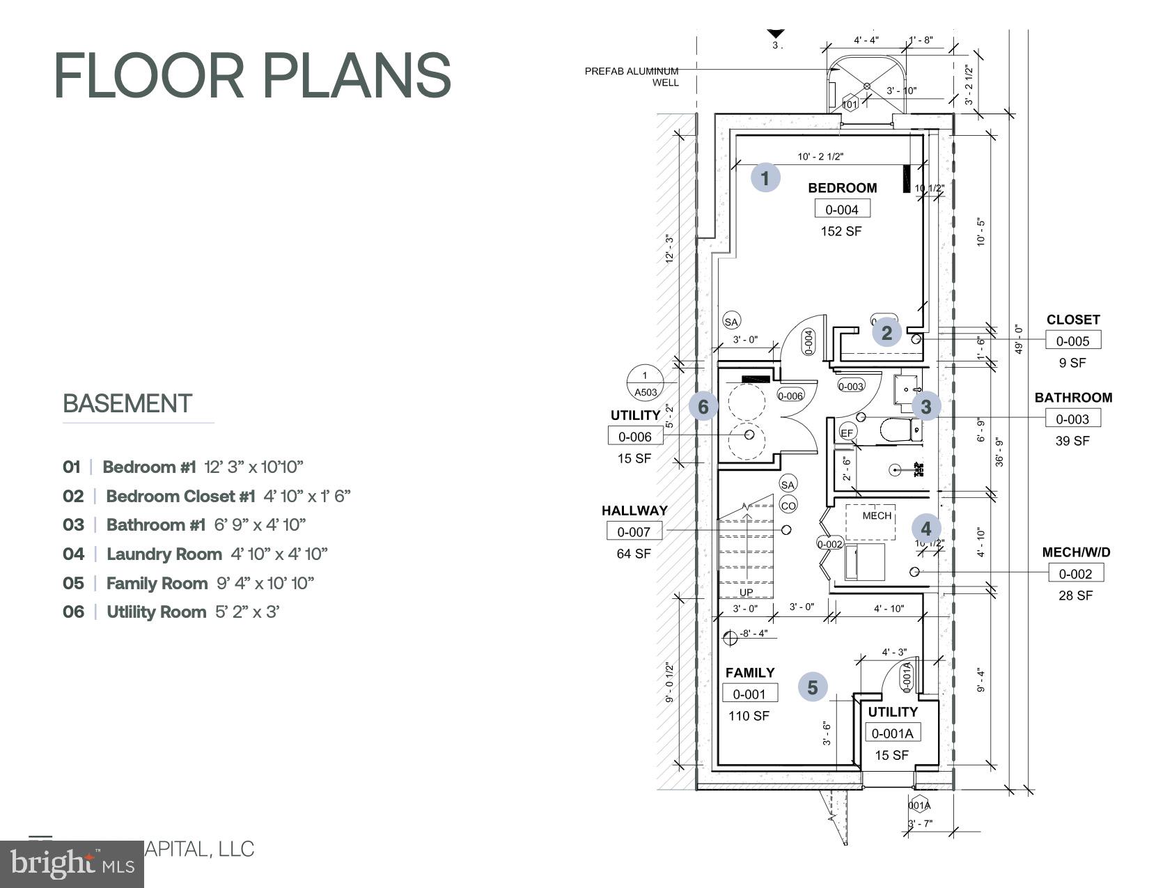 LOWER MOYAMENSING - Residential