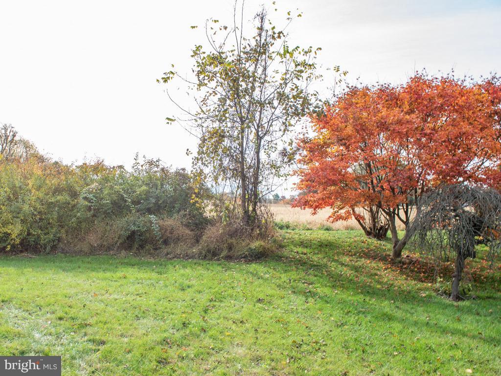 MEADOW VIEW - Residential