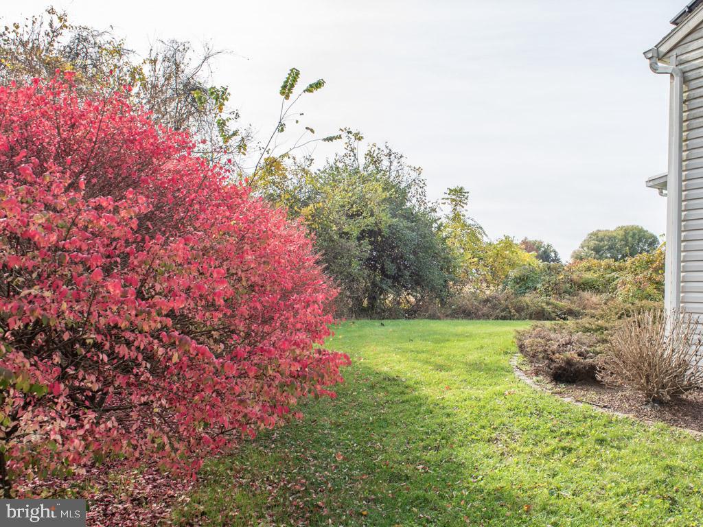 MEADOW VIEW - Residential