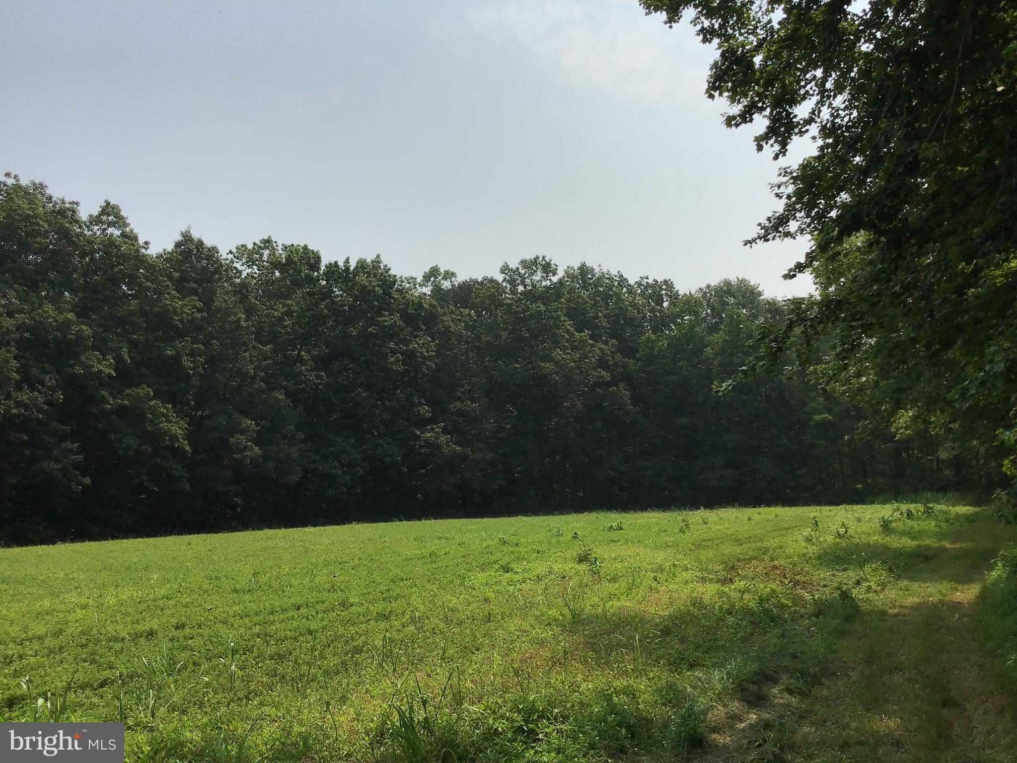 GOLTS - Farm