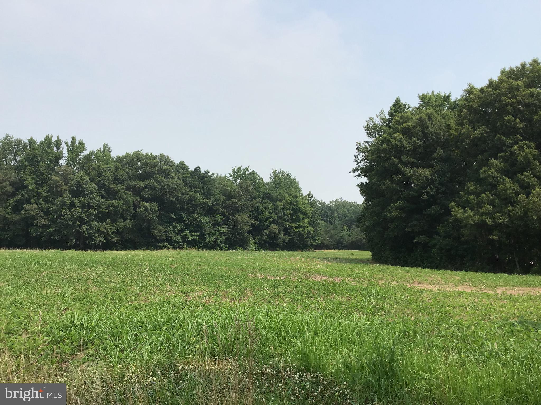 GOLTS - Farm