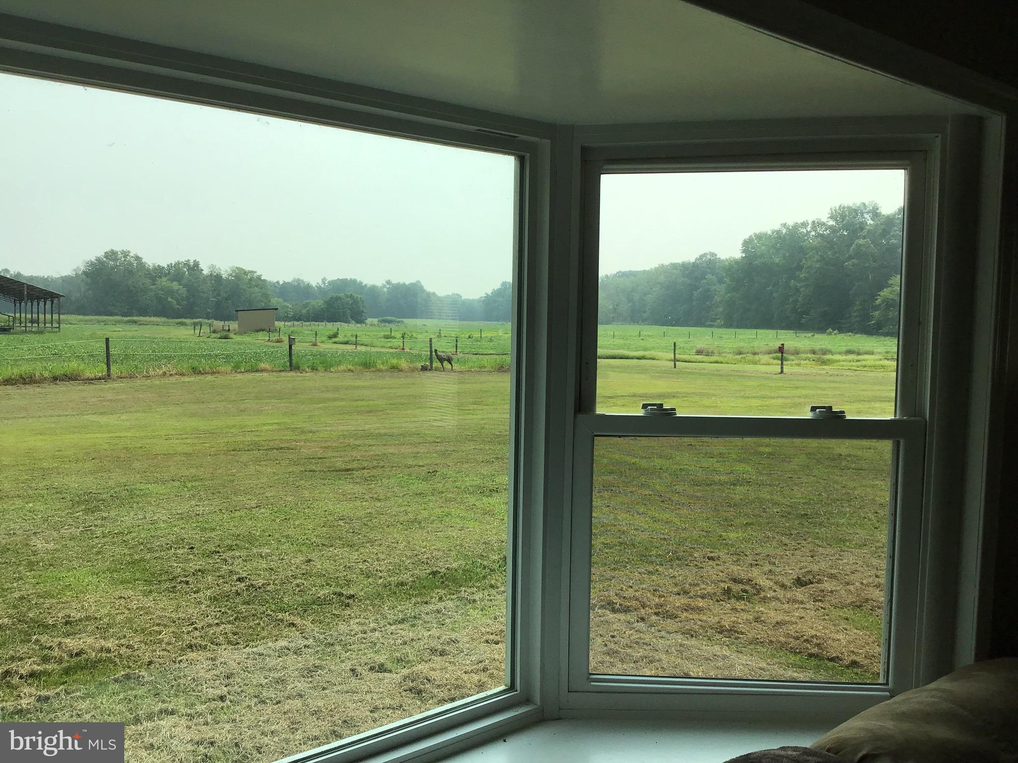 GOLTS - Farm