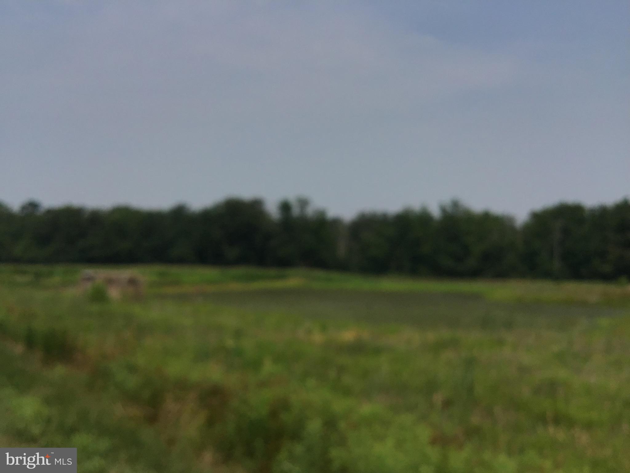 GOLTS - Farm