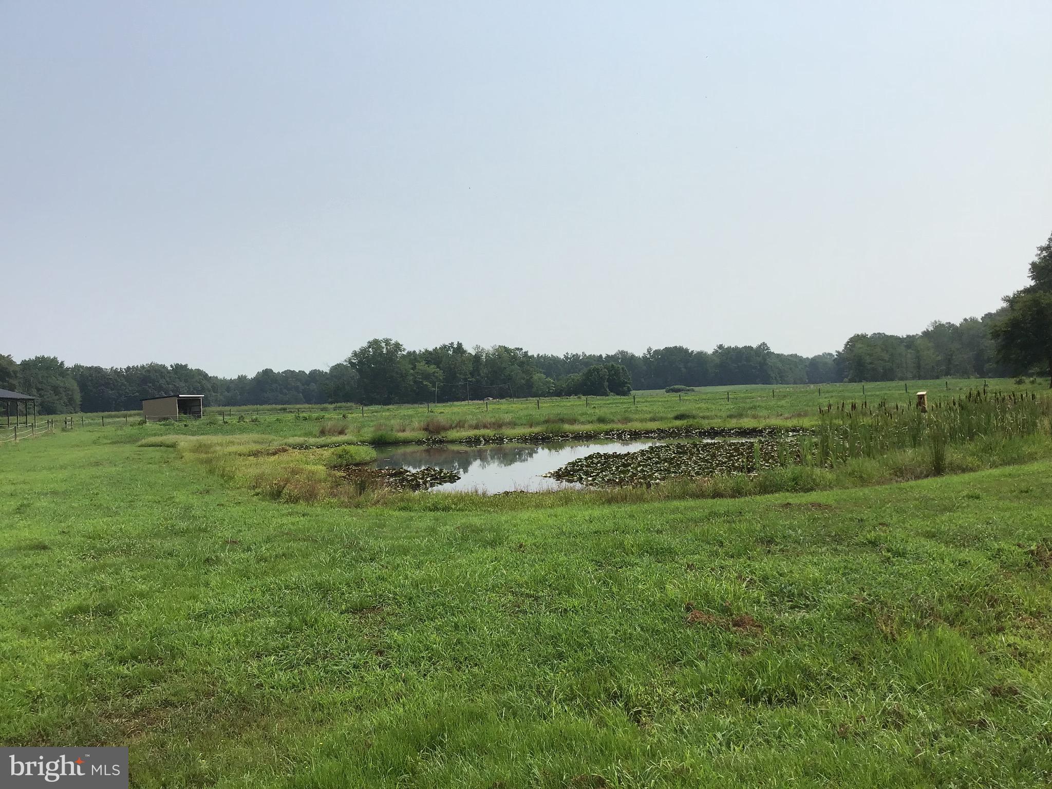 GOLTS - Farm