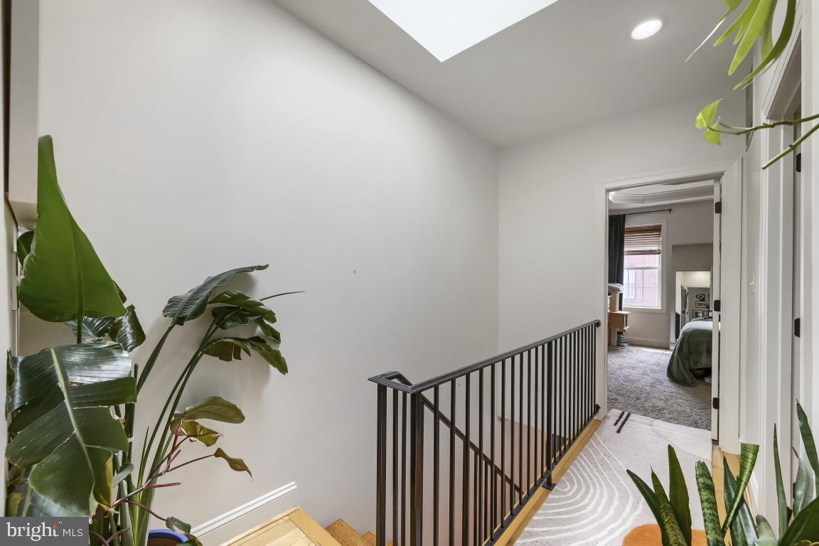 PATTERSON PARK - Residential