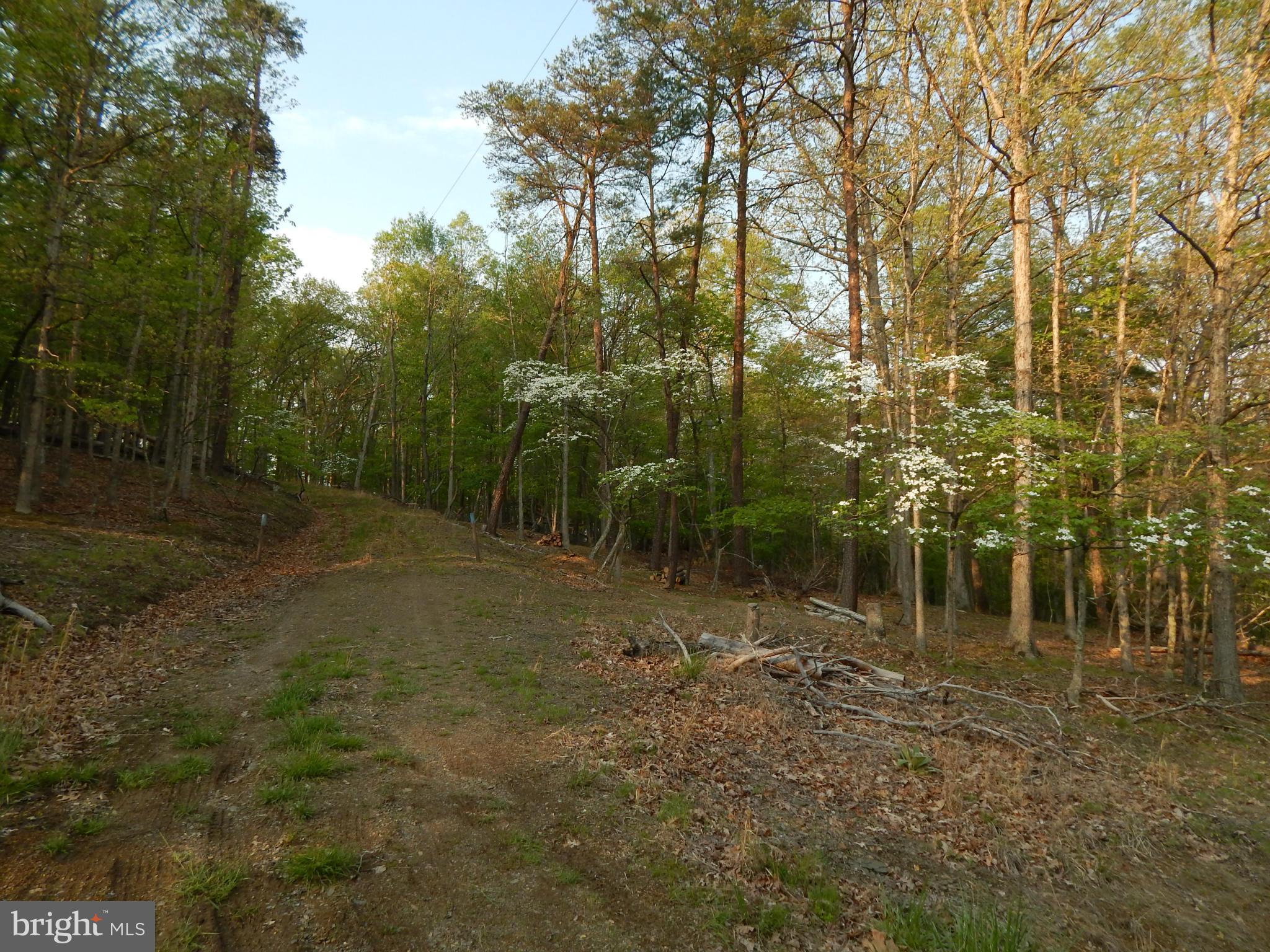 RIVER RIDGE - Land