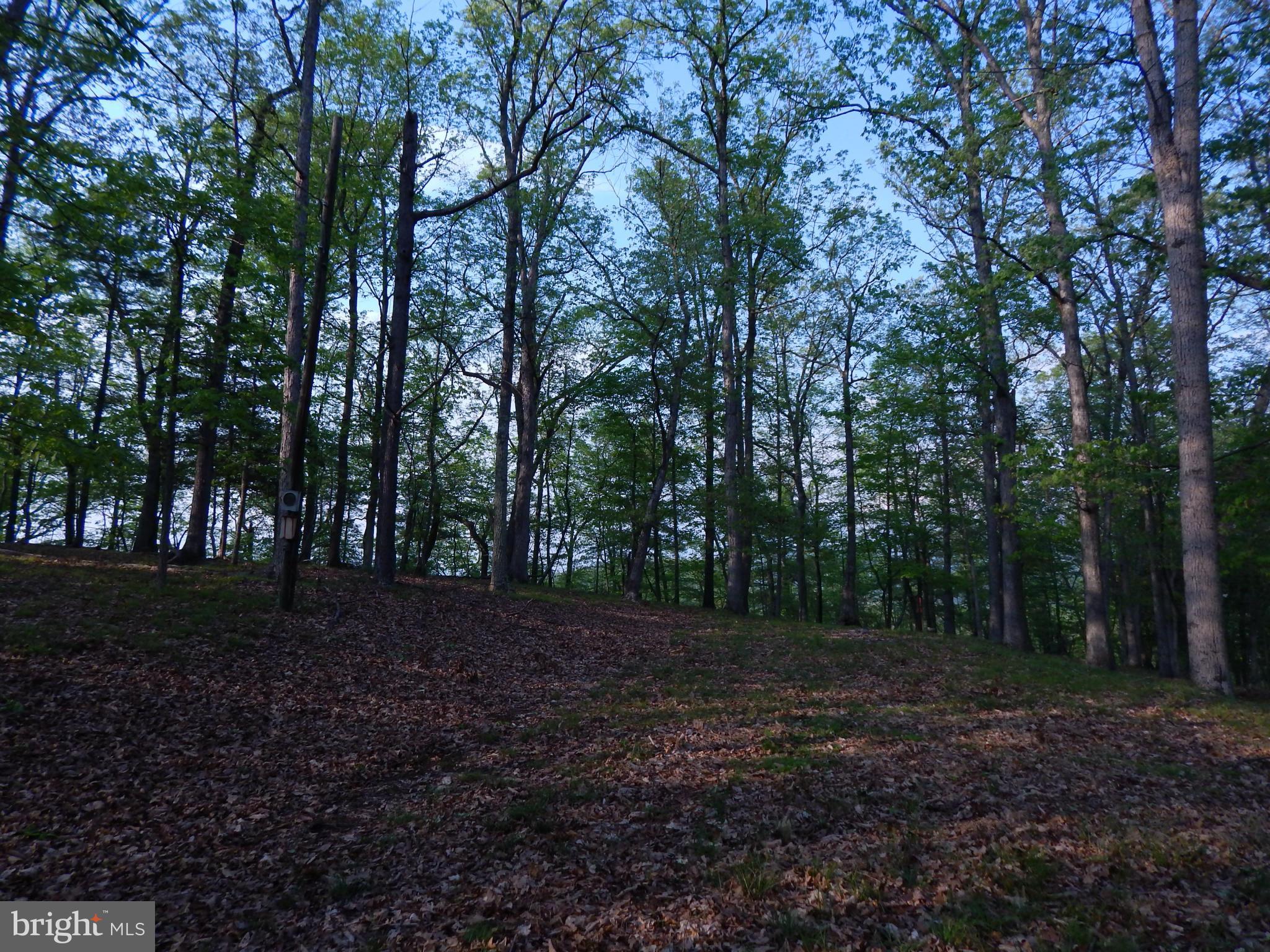 RIVER RIDGE - Land