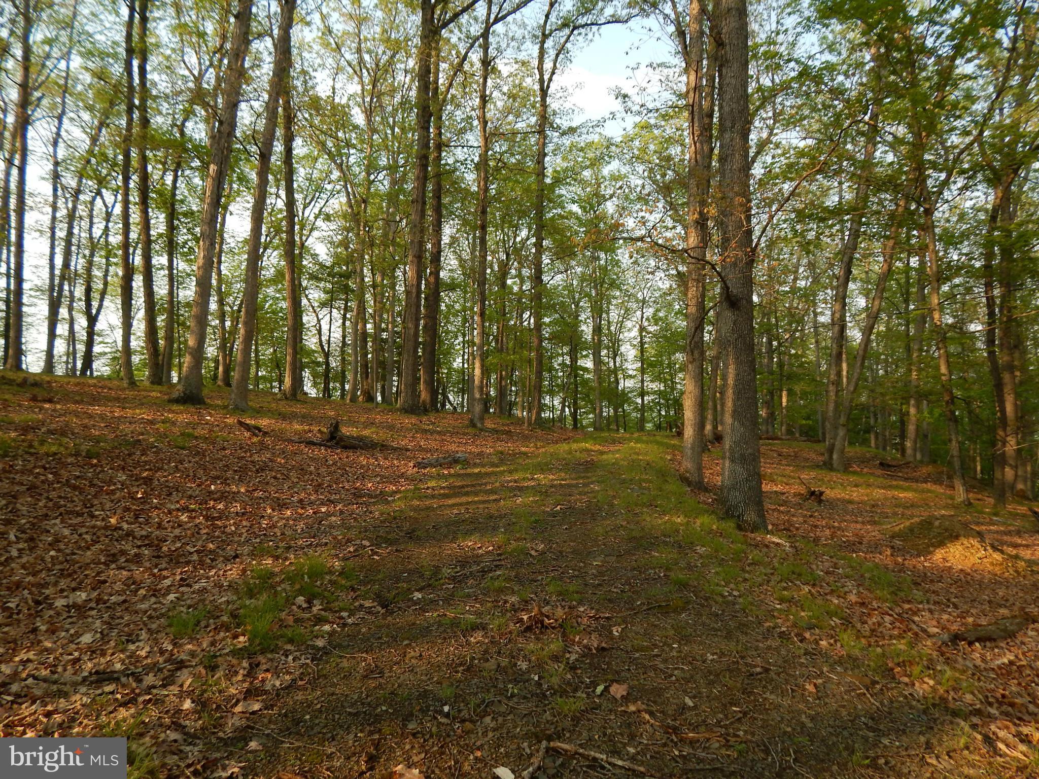 River Ridge Lot   7.96 Wooded AC w/  driveway & well installed.  Privately located w/ mt. views, this is a perfect location to build your dream  getaway from the stress of everyday life. Located in the gated community of River Ridge, featuring a  common area park on the Cacapon River w/ picnic tables, BBQ pits, canoe racks & bathroom facilities. Perfect for canoeing, fishing, swimming, tubing.