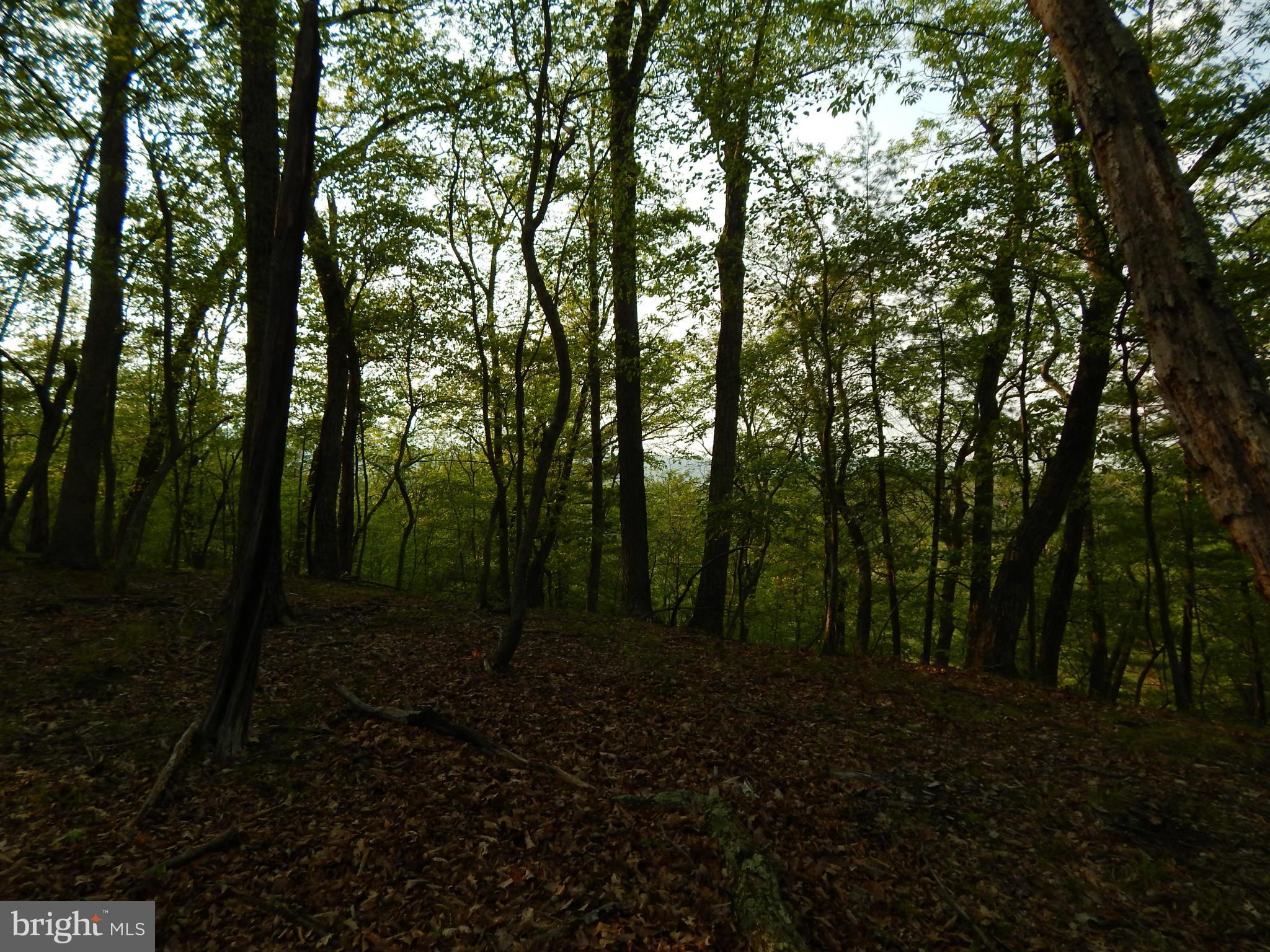 RIVER RIDGE - Land