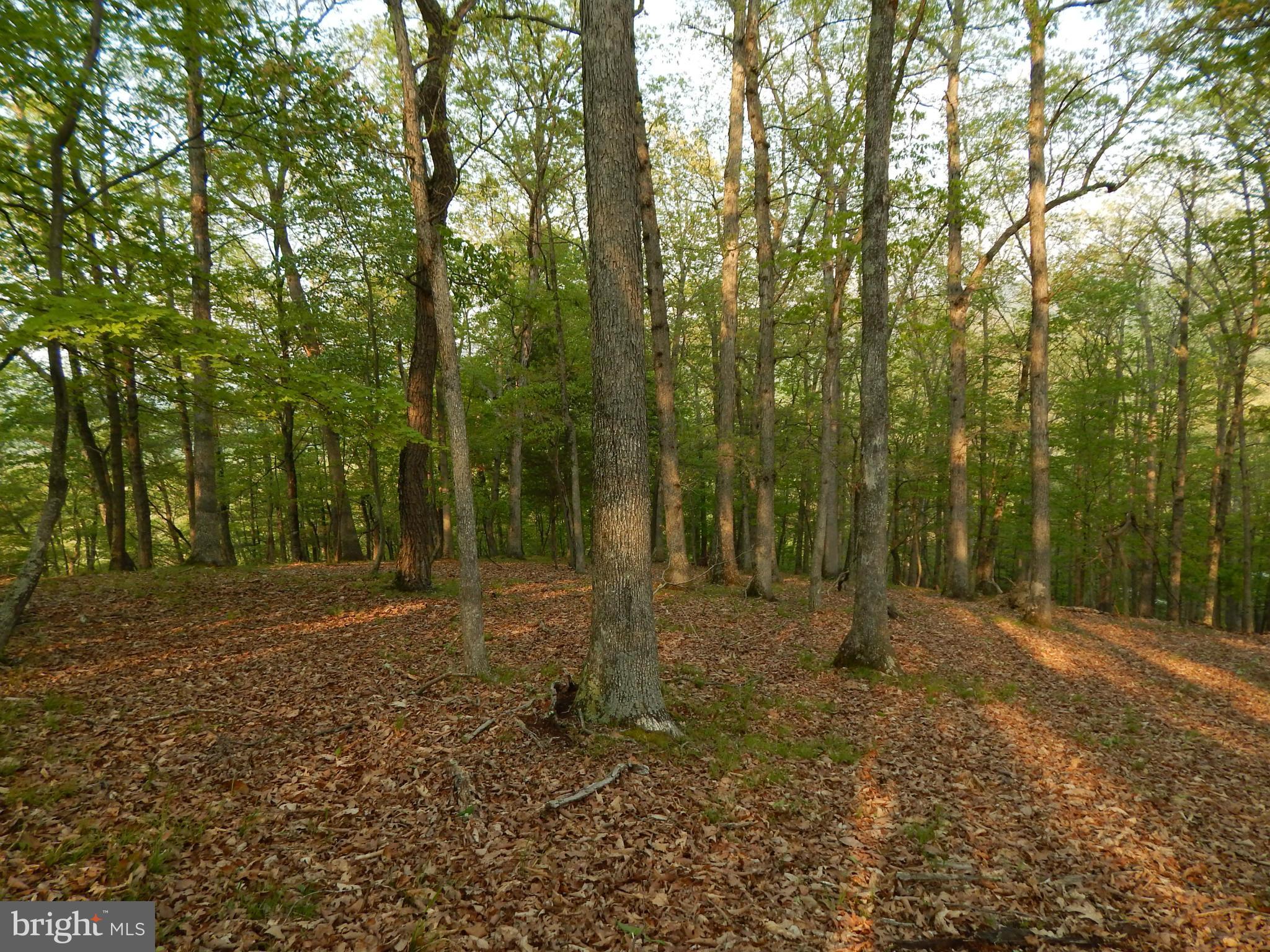 RIVER RIDGE - Land