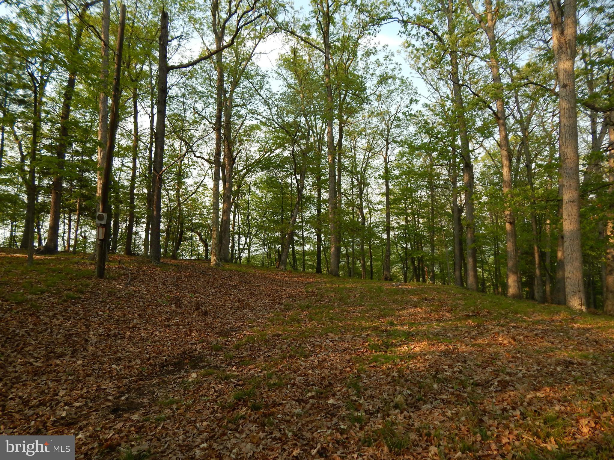 RIVER RIDGE - Land