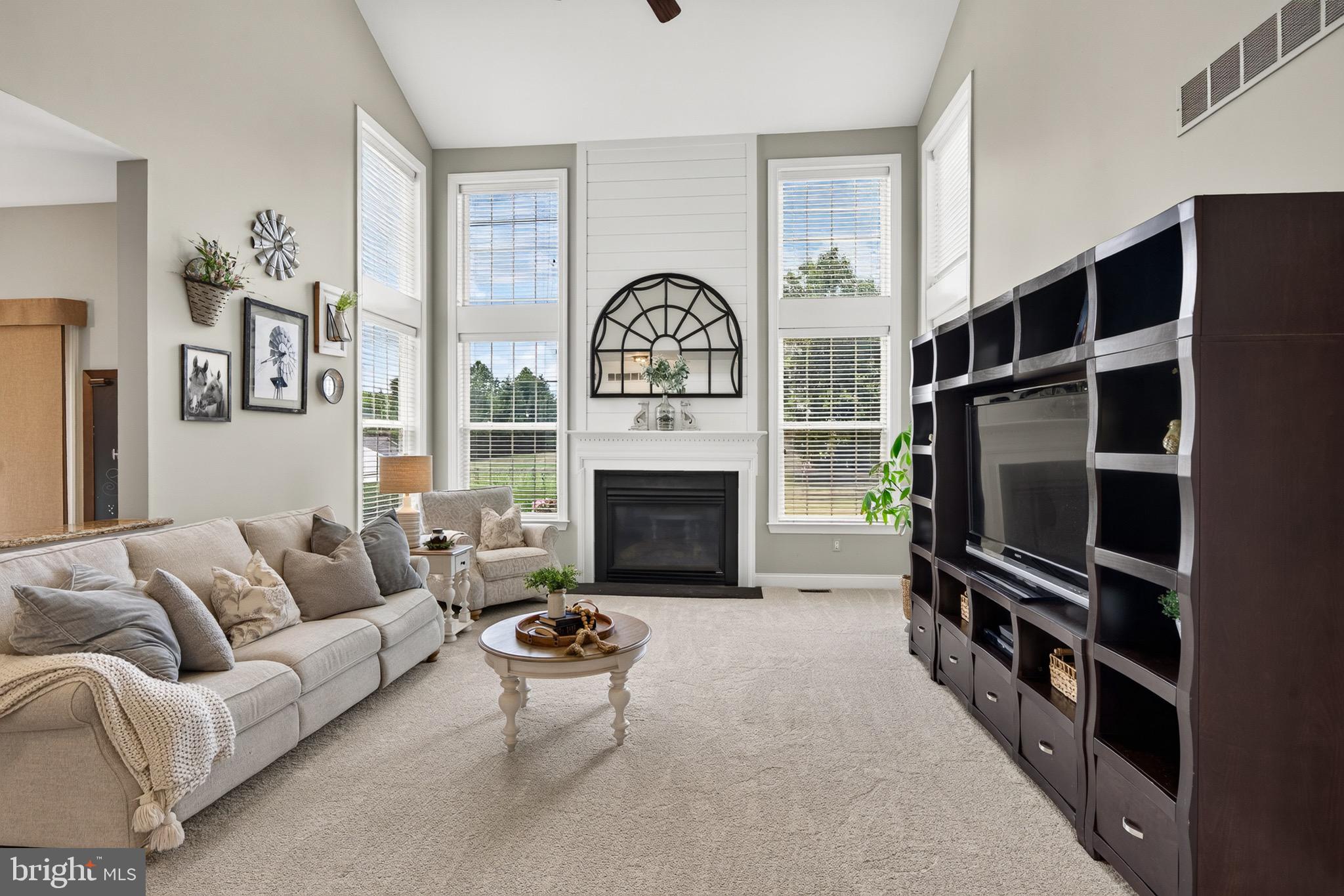 CHESTNUT RIDGE - Residential