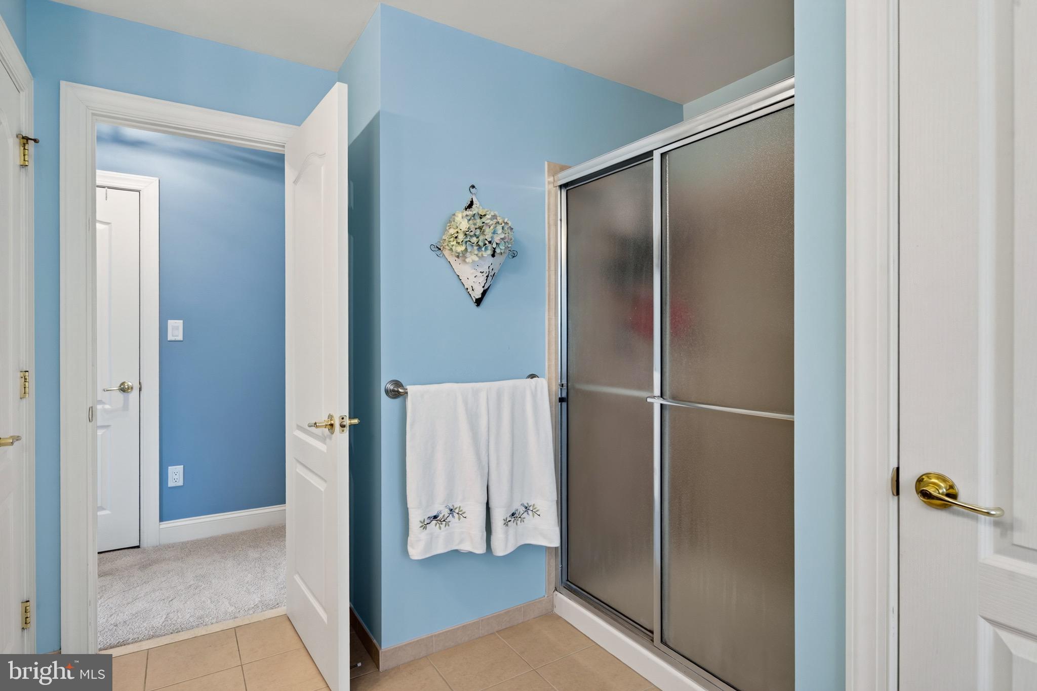 CHESTNUT RIDGE - Residential