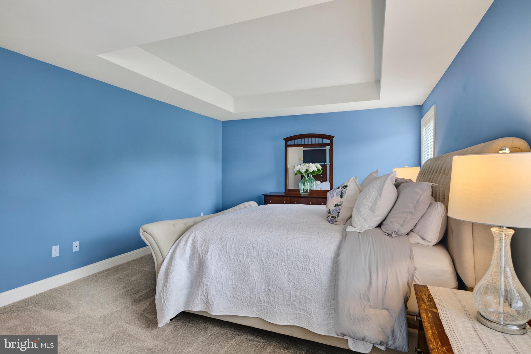 CHESTNUT RIDGE - Residential