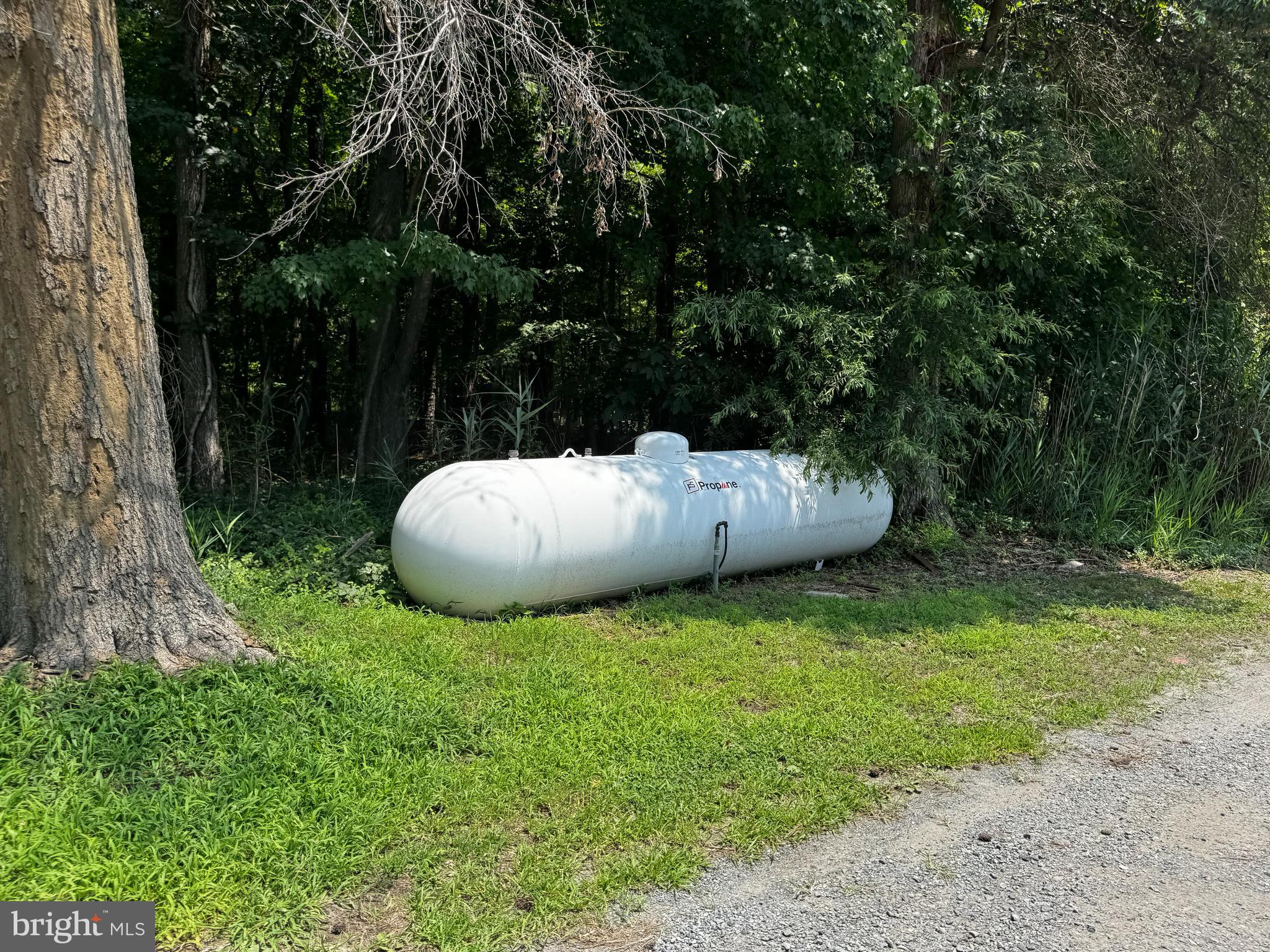 ST. MICHAELS - Commercial Sale