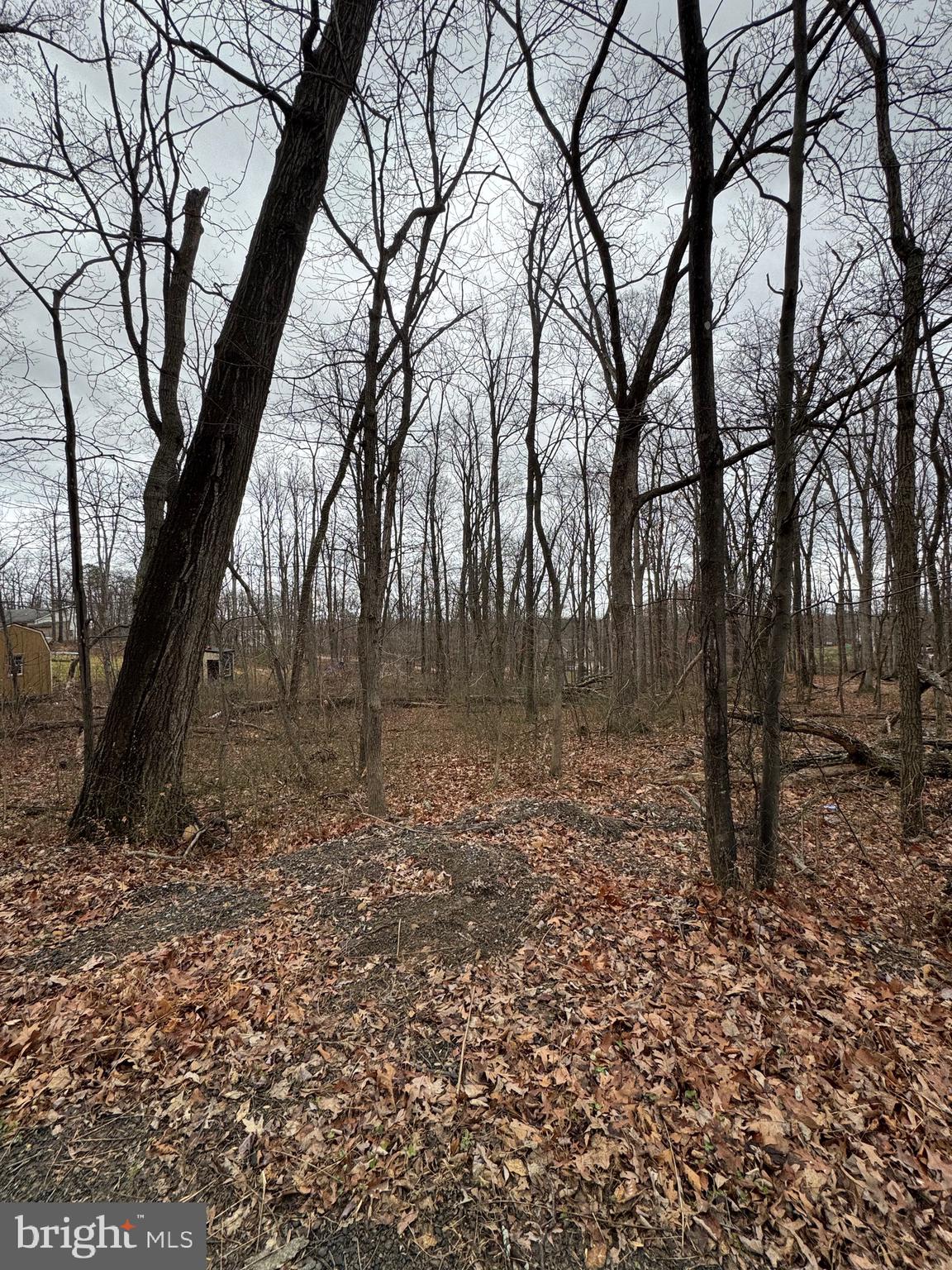 WILDE ACRES/ MTN FALLS - Land