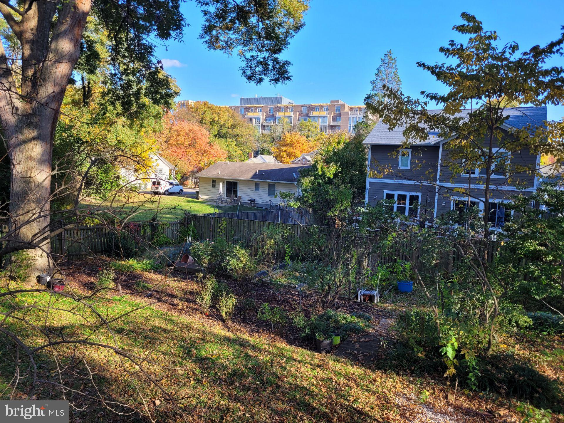 LARCHMONT TERRACE - Residential