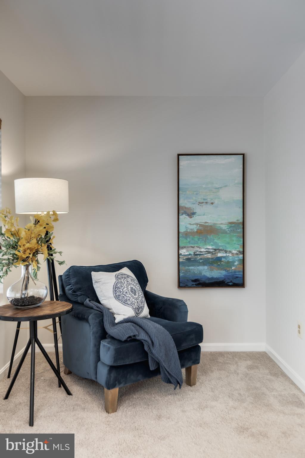 LIFESTYLE AT SULLY STATION - Residential