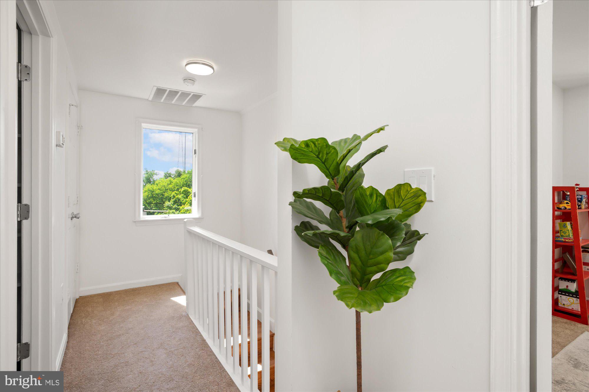 TAKOMA PARK - Residential