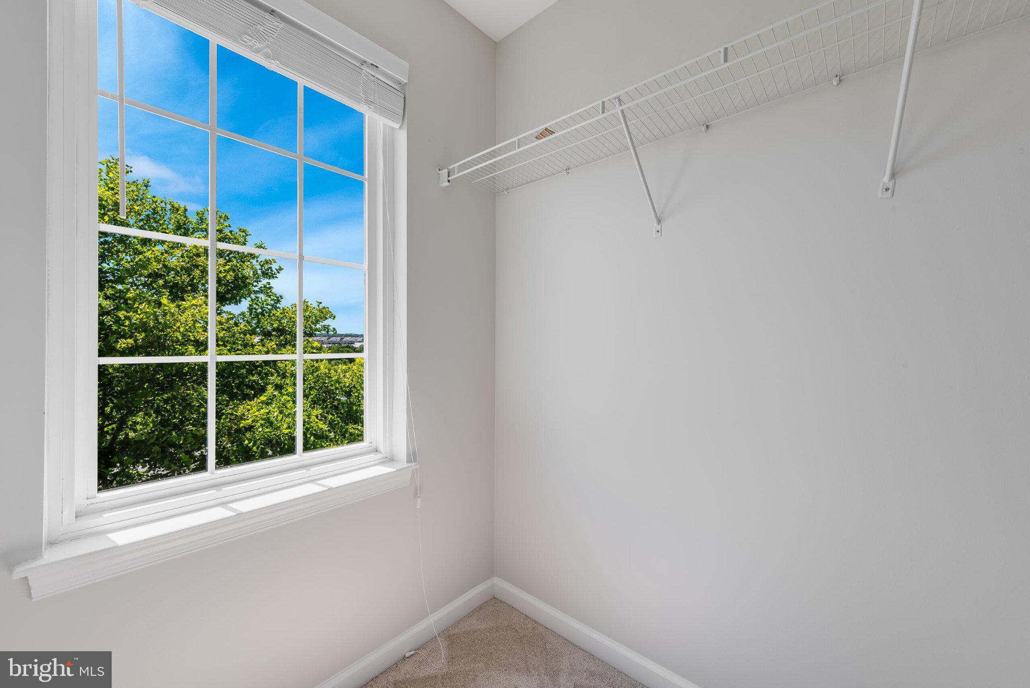 AMBERLEA AT SOUTH RIDING - Residential
