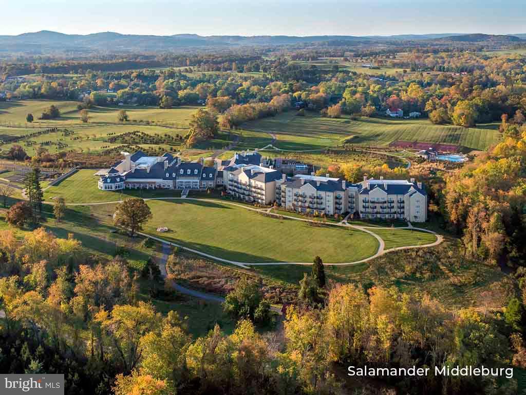 RESIDENCES AT SALAMANDER - Residential