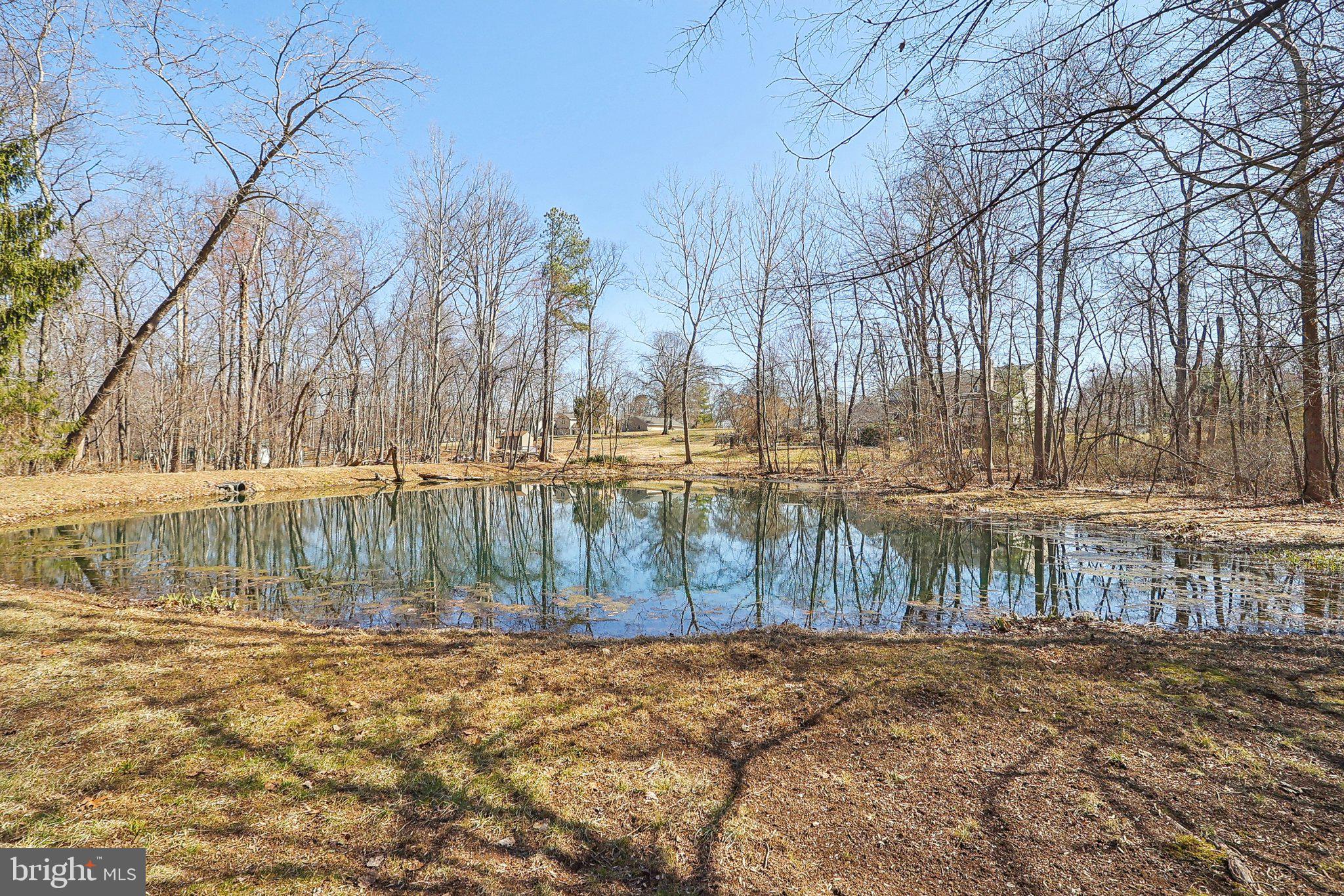 NEWHOPE FOREST - Residential