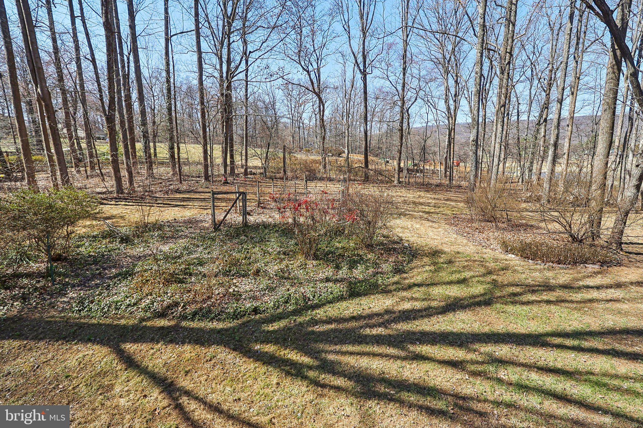 NEWHOPE FOREST - Residential