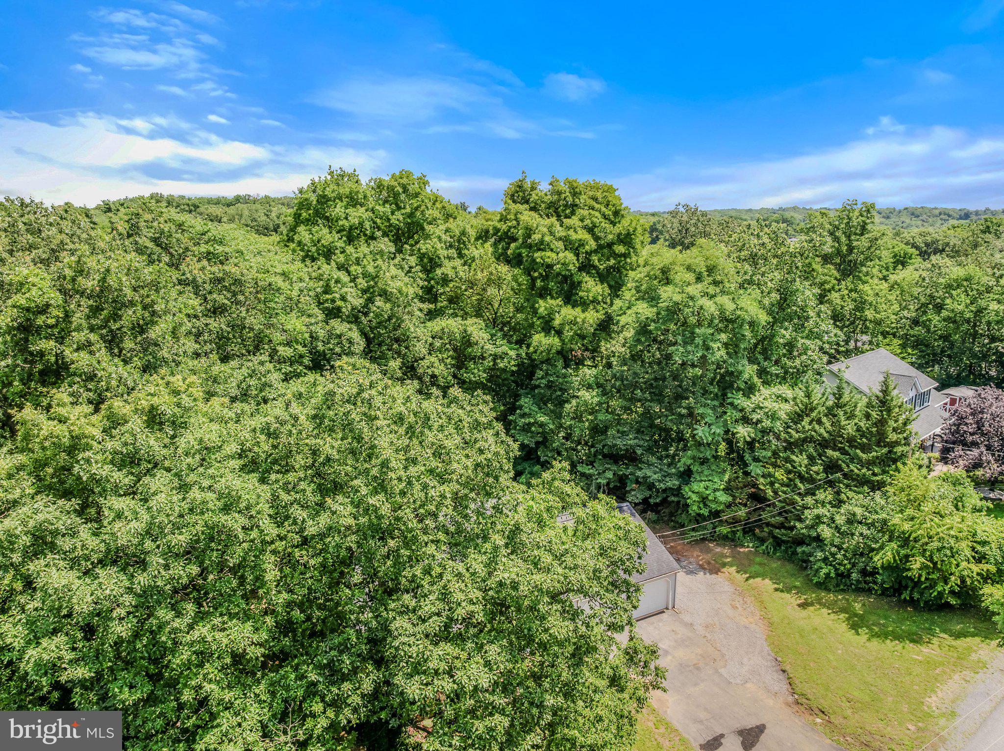 MEADOWS OF WOODBRIER - Residential