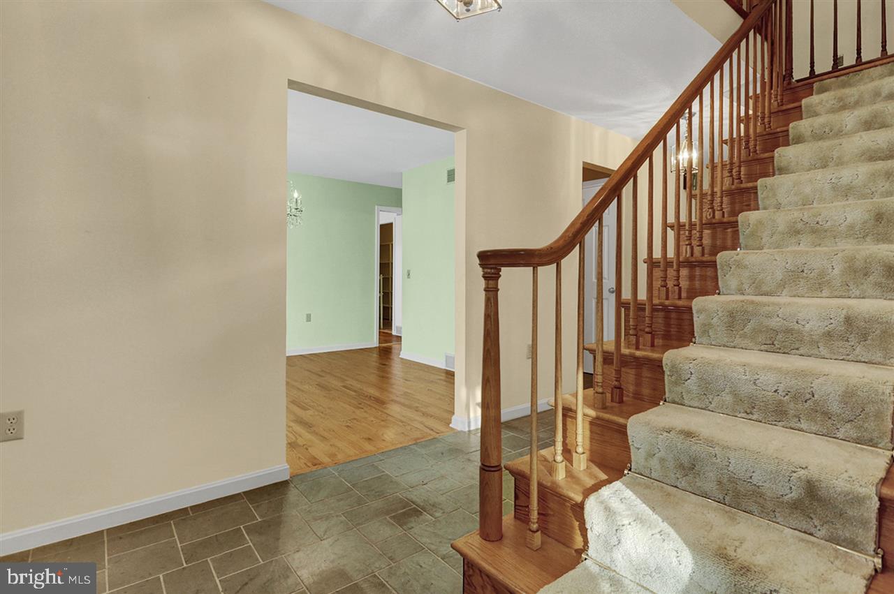 FOREST MEADOWS - Residential