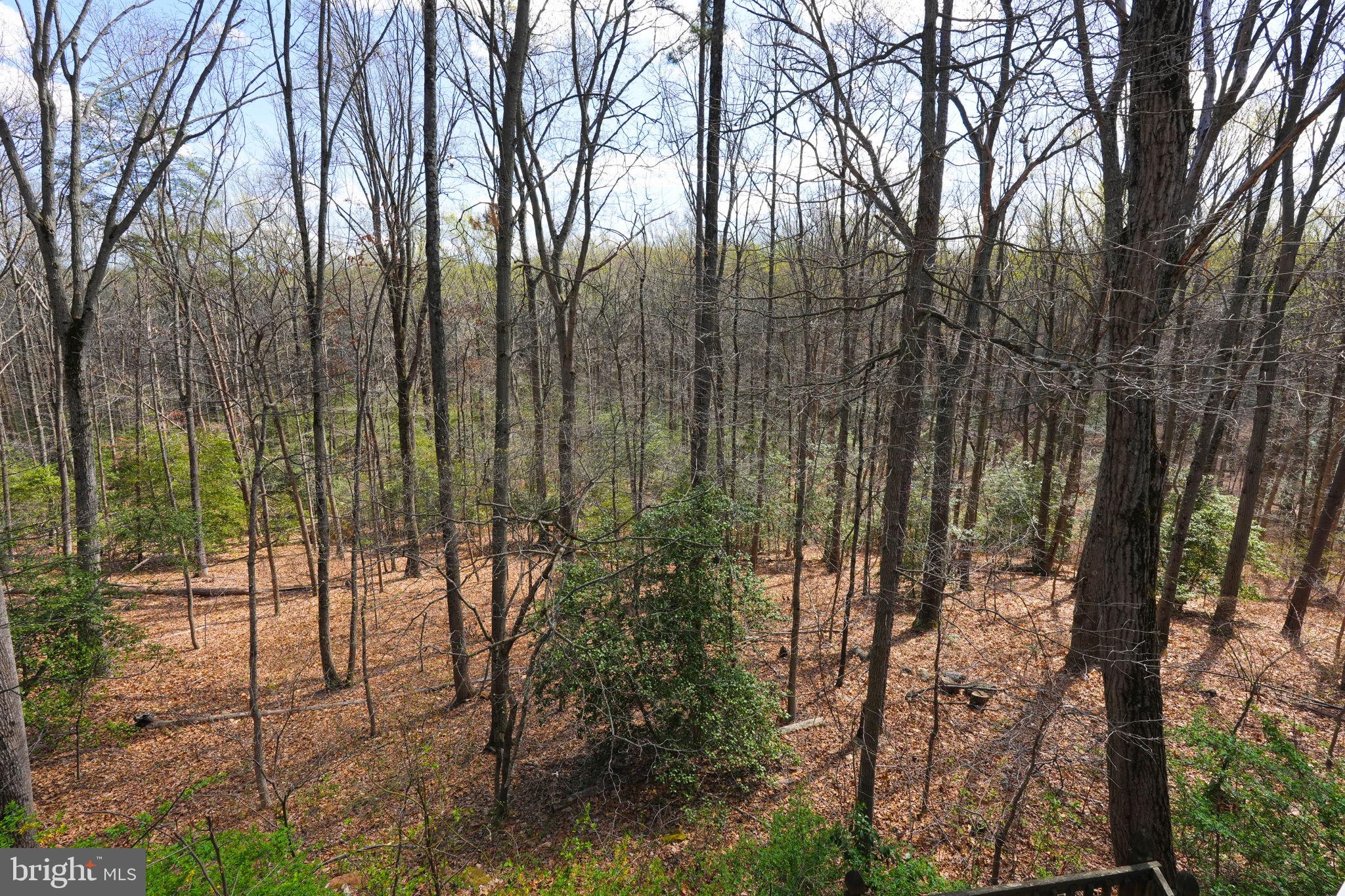 BRETTON WOODS - Residential