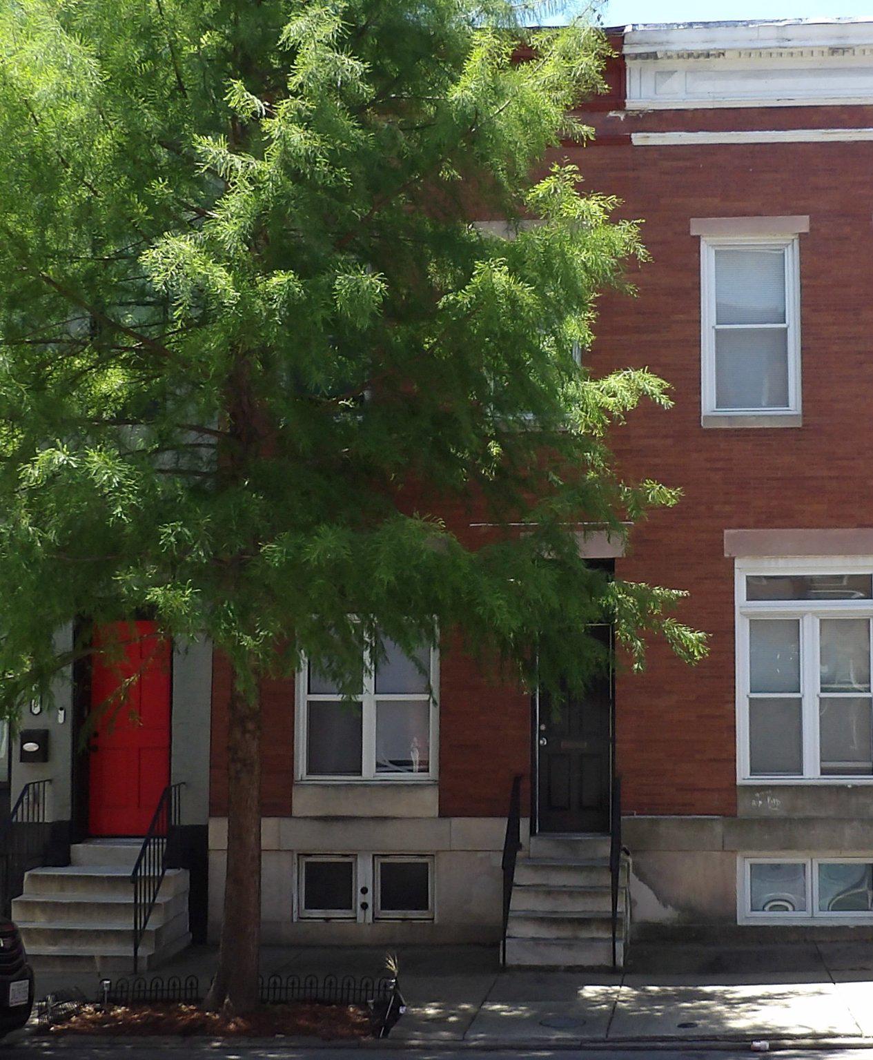 Attention Investors! 10%+ Cap Rate. Lead Safe and Section 8 approved, Tenant occupied.