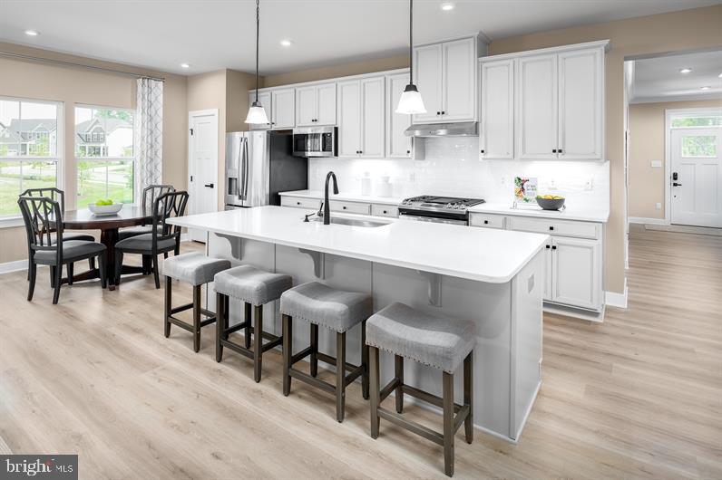 GREEN LANE MEADOWS - Residential
