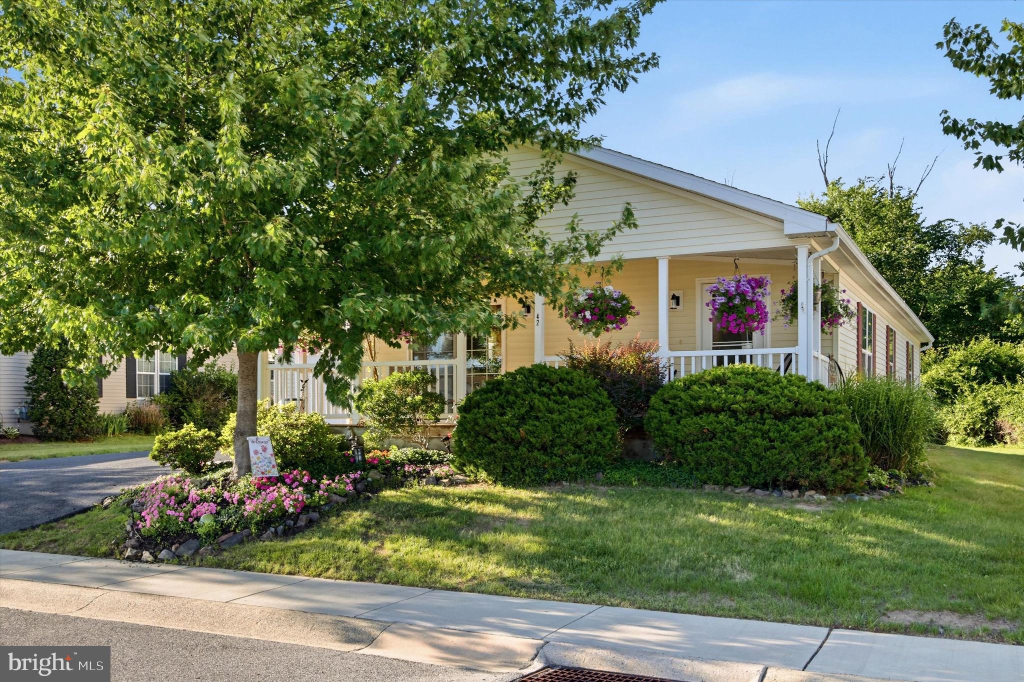 Welcome to this well-maintained 3-bedroom, 2-bath ranch home located within the Douglas Village 55+ community. A covered front porch provides a welcoming entrance into the spacious living and dining areas featuring wall-to-wall carpeting.

The large kitchen offers oak cabinetry, ample storage, and a full complement of appliances and amenities, with convenient access to the laundry room and attached two-car garage.

Fresh paint and carpeting enhance all three bedrooms. The primary bedroom includes a private bathroom with a walk-in shower. Two additional bedrooms and a full hall bathroom provide flexible space for guests, hobbies, or a home office.

Enjoy the outdoors from the covered rear patio overlooking a peaceful tree-lined backdrop, creating a private setting for relaxing or entertaining.

This home combines comfortable one-floor living with practical features and a desirable location within the Douglas Village community.