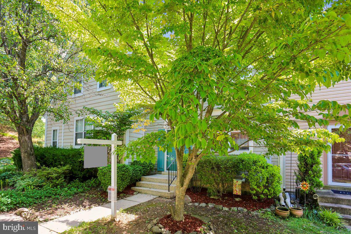 WILLOW COVE TOWNHOMES - Residential