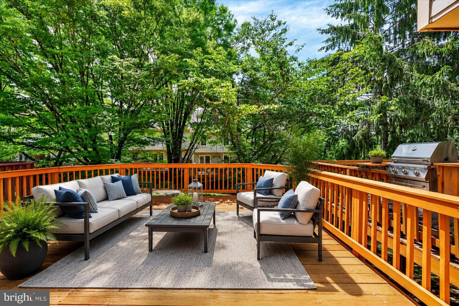DORSEY SEARCH - Residential