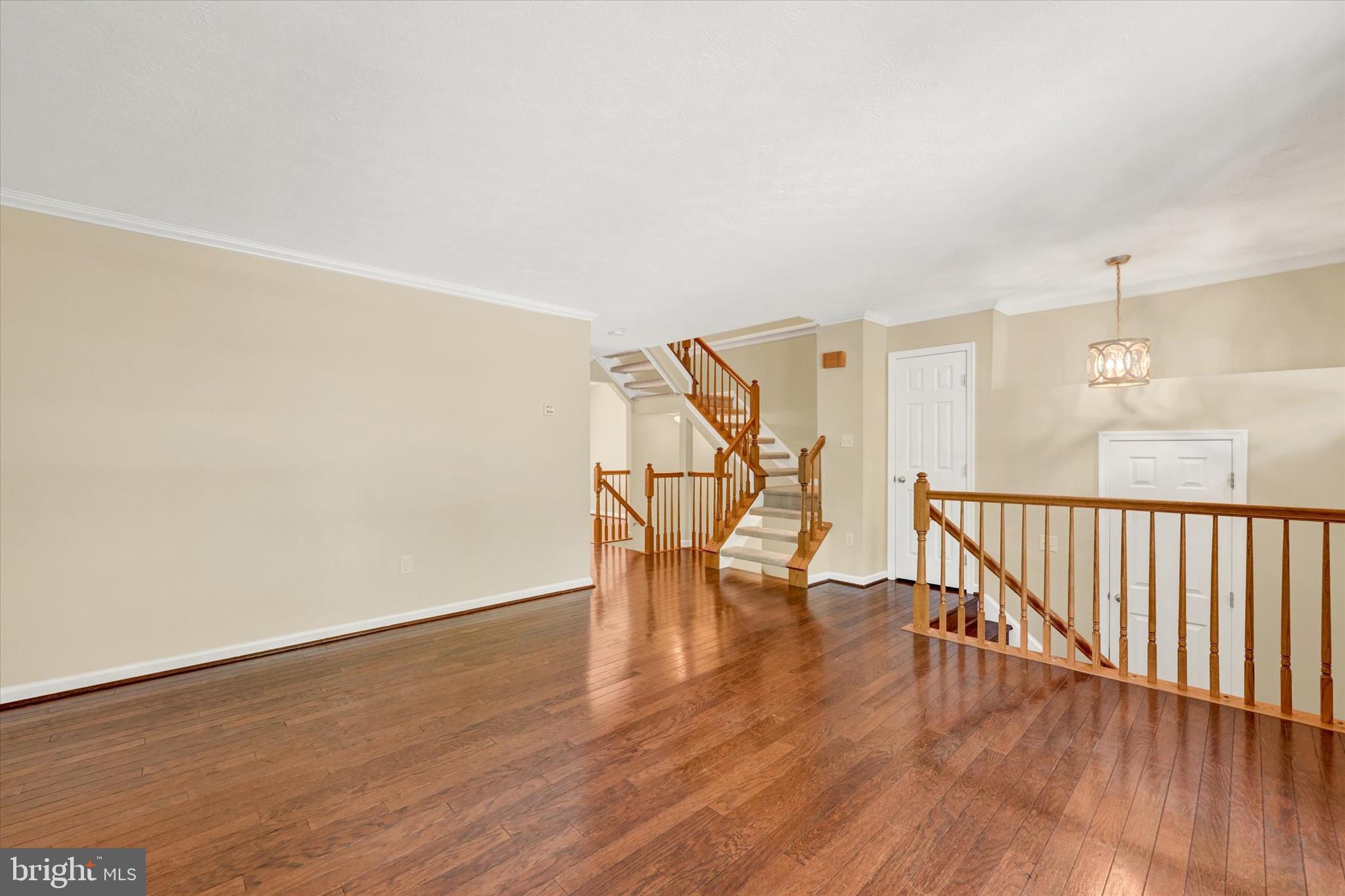 DORSEY SEARCH - Residential